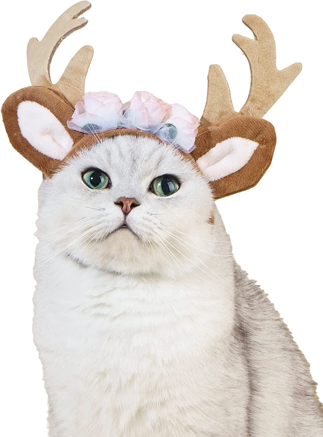 QWINEE Cat Costume Lion Head Frog Funny Mane Cat Hat Halloween Christmas Party Costume Headwear for Puppy Cat Kitten Small Dogs Grey S Animals & Pet Supplies > Pet Supplies > Dog Supplies > Dog Apparel QWINEE Brown Antler One Size 