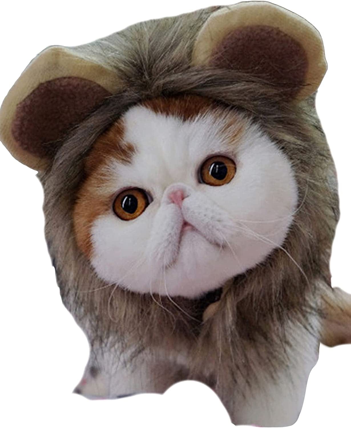 QWINEE Cat Costume Lion Head Frog Funny Mane Cat Hat Halloween Christmas Party Costume Headwear for Puppy Cat Kitten Small Dogs Grey S Animals & Pet Supplies > Pet Supplies > Dog Supplies > Dog Apparel QWINEE Brown Lion L 