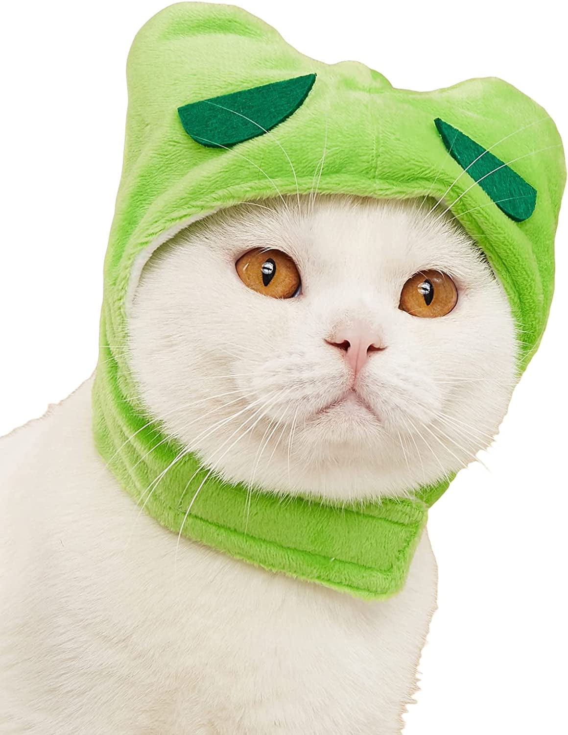 QWINEE Cat Costume Lion Head Frog Funny Mane Cat Hat Halloween Christmas Party Costume Headwear for Puppy Cat Kitten Small Dogs Grey S Animals & Pet Supplies > Pet Supplies > Dog Supplies > Dog Apparel QWINEE Green Cartoon Frog L 