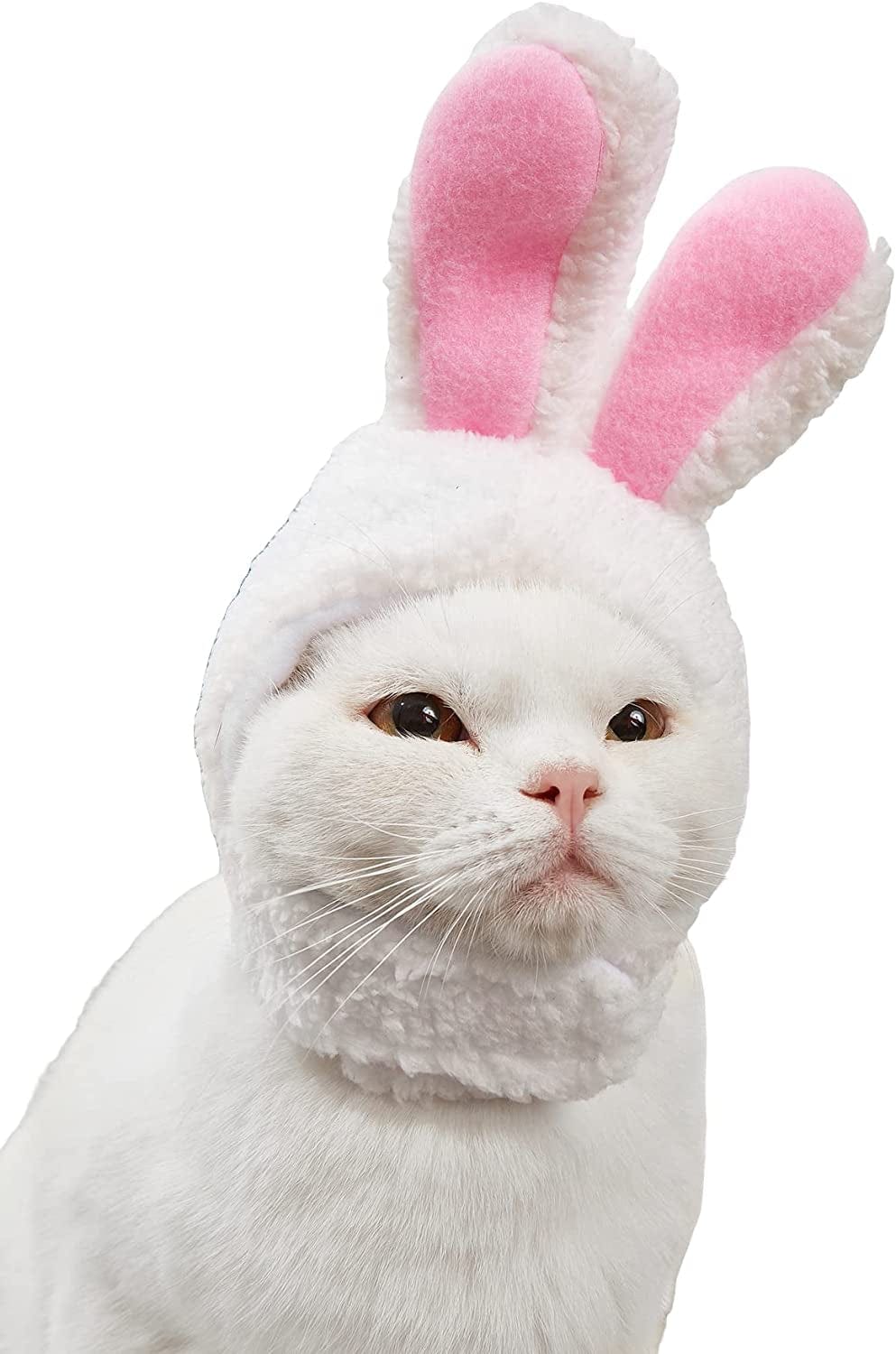 QWINEE Cat Costume Lion Head Frog Funny Mane Cat Hat Halloween Christmas Party Costume Headwear for Puppy Cat Kitten Small Dogs Grey S Animals & Pet Supplies > Pet Supplies > Dog Supplies > Dog Apparel QWINEE White and Pink One Size 