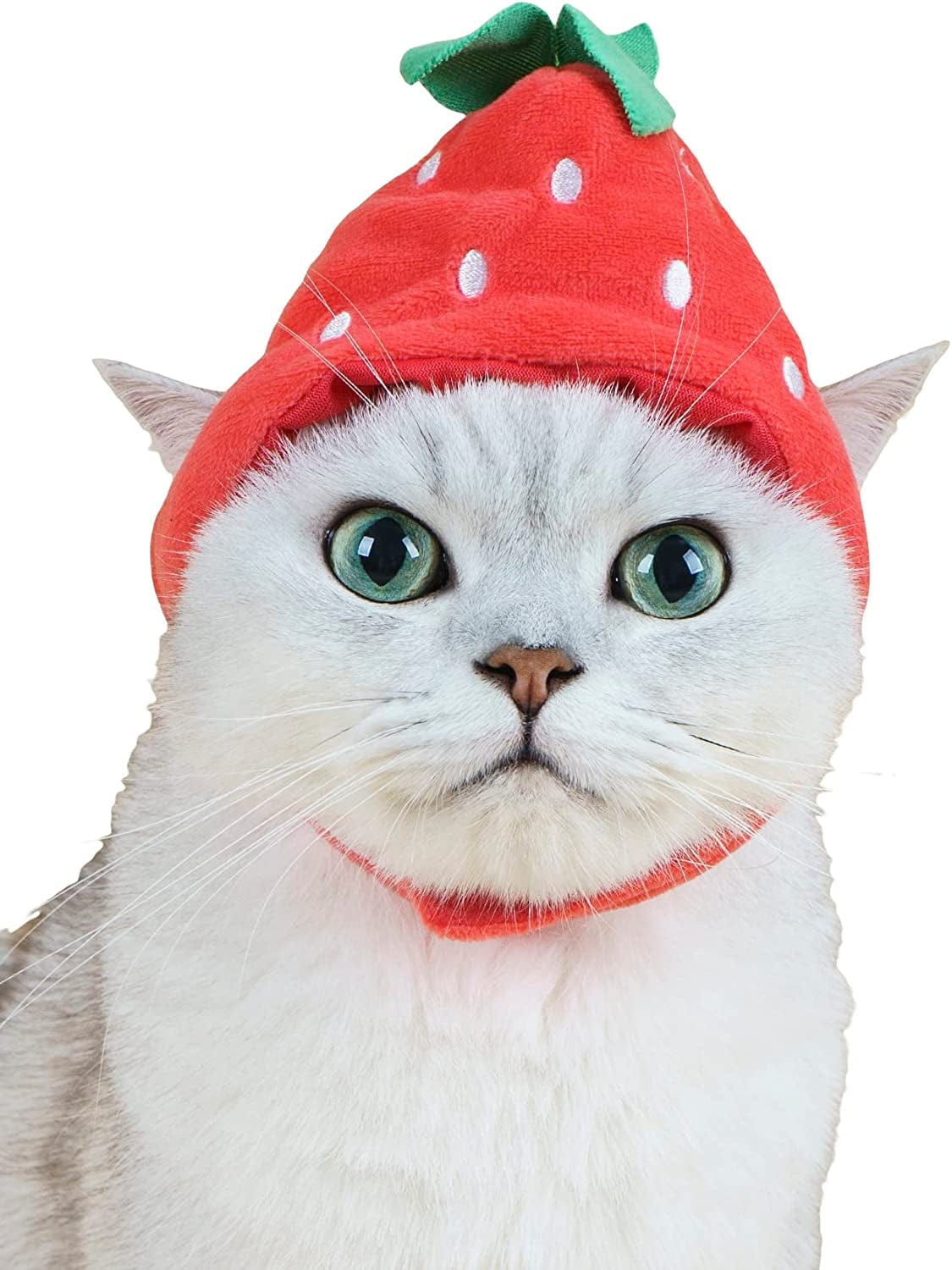 QWINEE Cat Costume Lion Head Frog Funny Mane Cat Hat Halloween Christmas Party Costume Headwear for Puppy Cat Kitten Small Dogs Grey S Animals & Pet Supplies > Pet Supplies > Dog Supplies > Dog Apparel QWINEE Red One Size 