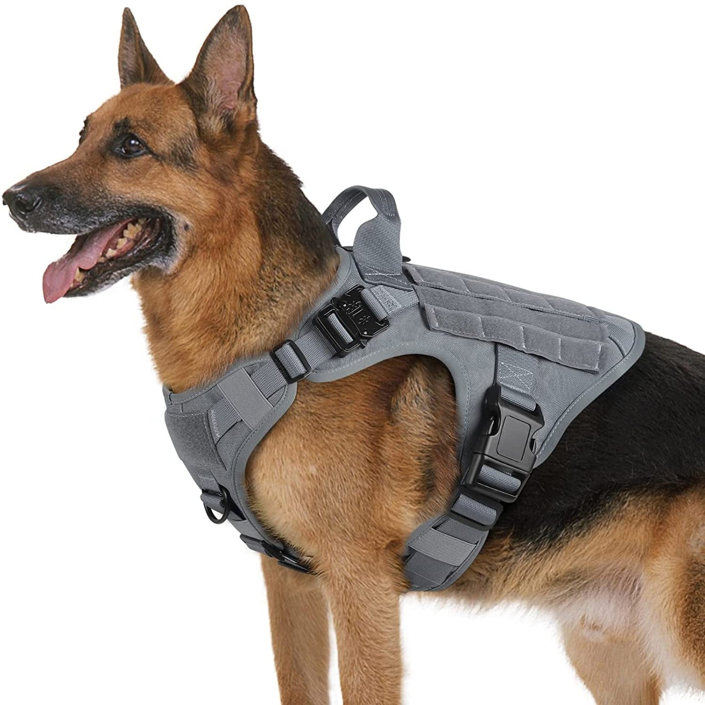 Rabbitgoo Tactical Dog Harness for Large Dogs, Military Dog Harness with Handle, No-Pull Service Dog Vest with Molle & Loop Panels, Adjustable Dog Vest Harness for Training Hunting Walking, Black, L Animals & Pet Supplies > Pet Supplies > Dog Supplies > Dog Apparel GLOBEGOU CO.,LTD Grey X-Large 