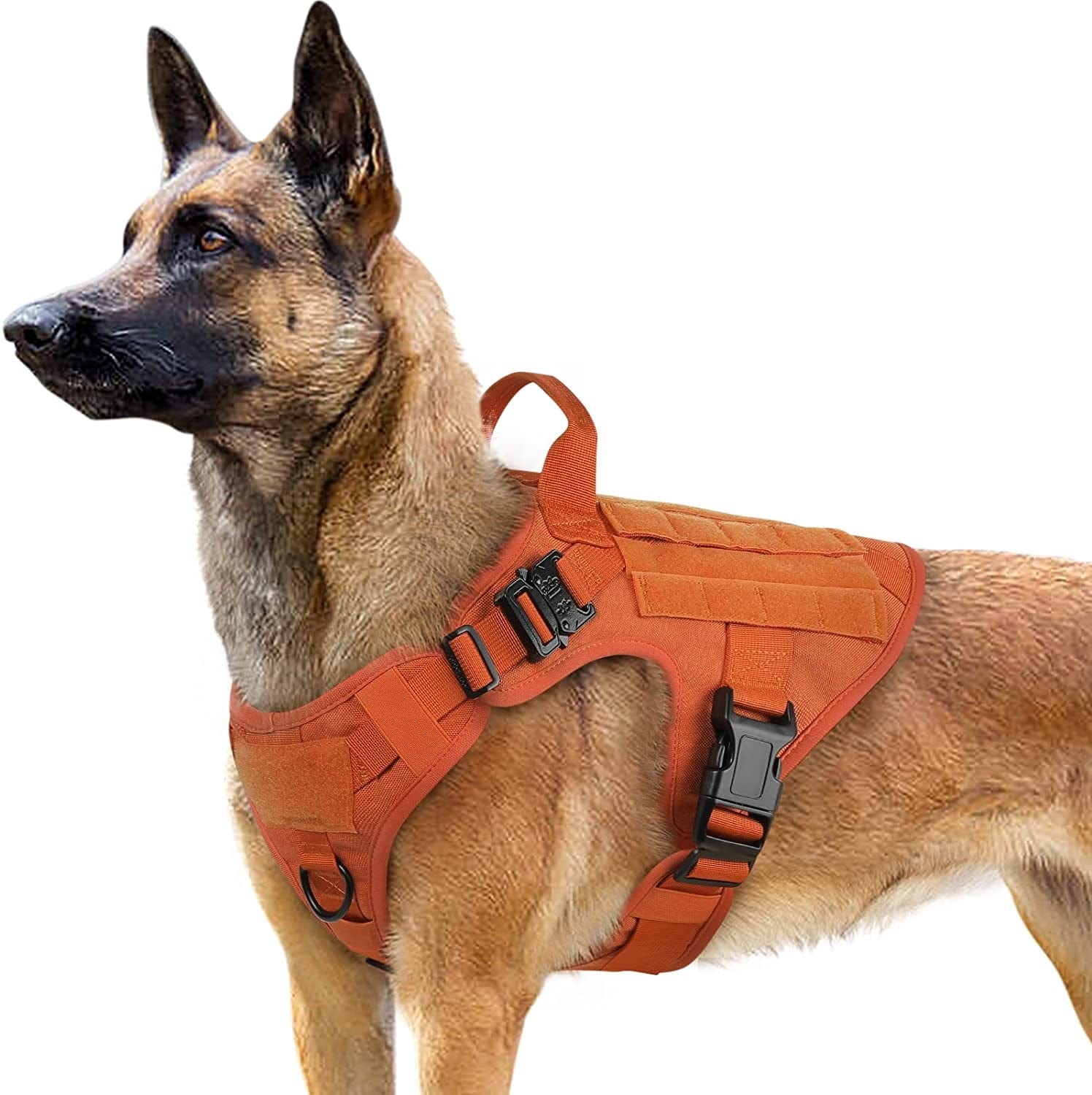 競売 Adjustable OneTigris Dog Heavy Tactical OneTigris Dog Harness No for  Duty Large Dog Full Hook Metal Buckled Large Harness, No Loop Pull Dog  Harness Destroyer Vest with Dog Hook Handle, ＆