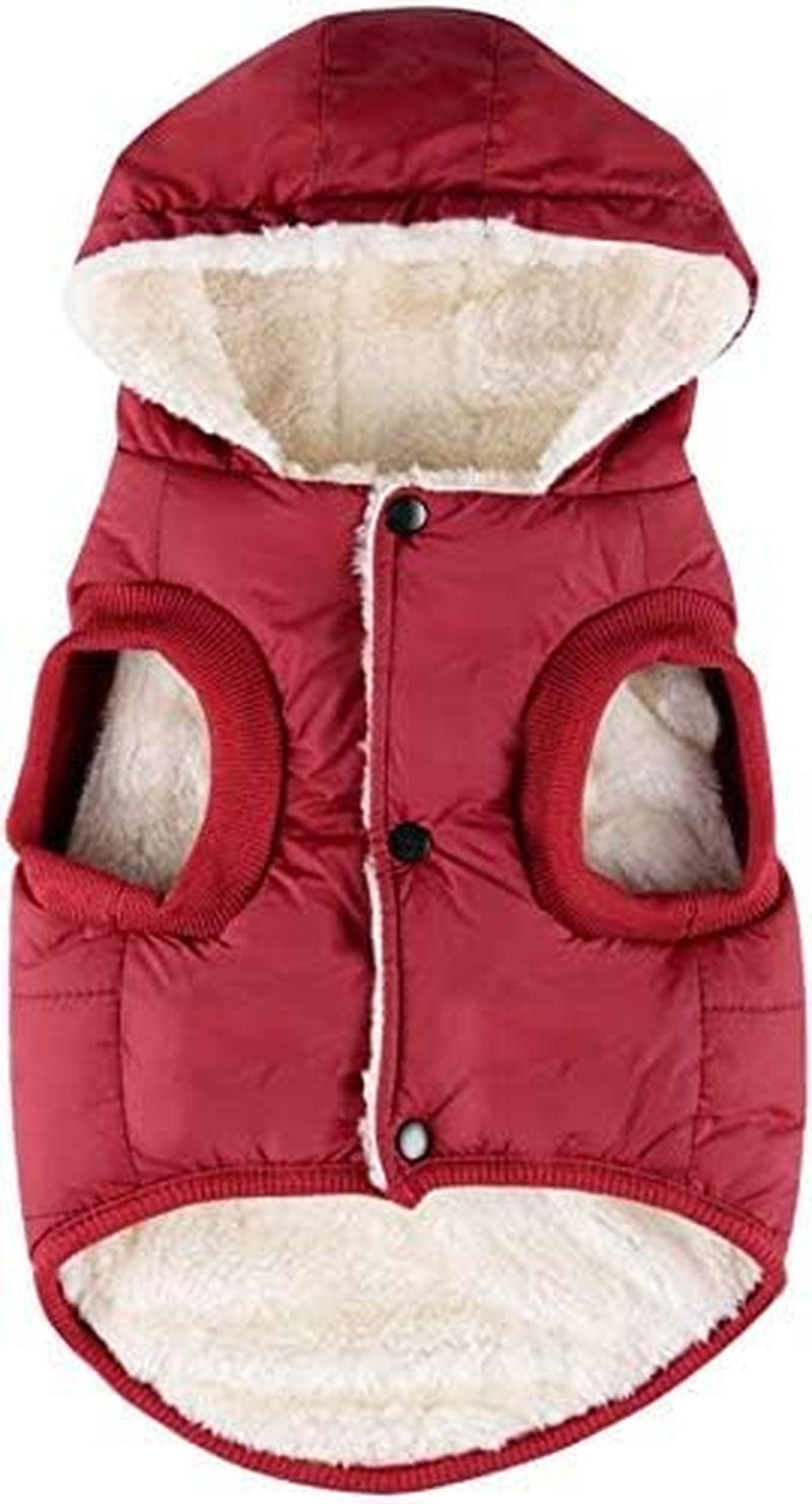 RC Gearpro Dog Clothes Winter Cotton-Padded Jacket Hoodies Cat Puppy Cold Weather Coats Vest for Small Medium Large Dog (M, RED) Animals & Pet Supplies > Pet Supplies > Dog Supplies > Dog Apparel RC GearPro RED Medium 