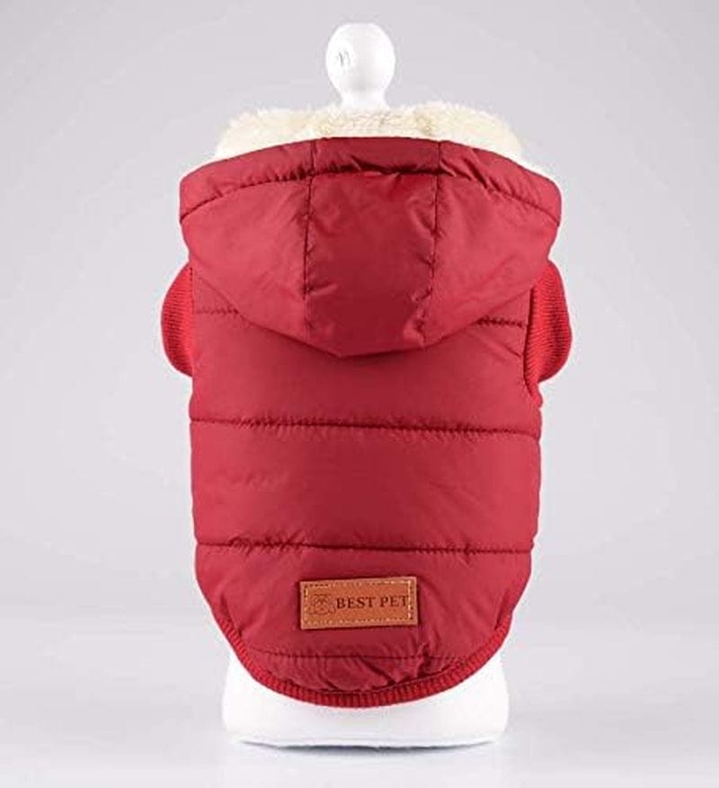 RC Gearpro Dog Clothes Winter Cotton-Padded Jacket Hoodies Cat Puppy Cold Weather Coats Vest for Small Medium Large Dog (M, RED) Animals & Pet Supplies > Pet Supplies > Dog Supplies > Dog Apparel RC GearPro   