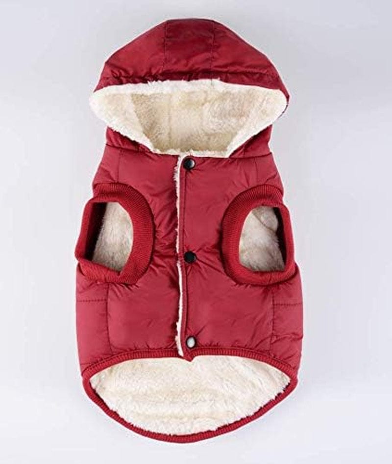 RC Gearpro Dog Clothes Winter Cotton-Padded Jacket Hoodies Cat Puppy Cold Weather Coats Vest for Small Medium Large Dog (M, RED) Animals & Pet Supplies > Pet Supplies > Dog Supplies > Dog Apparel RC GearPro   