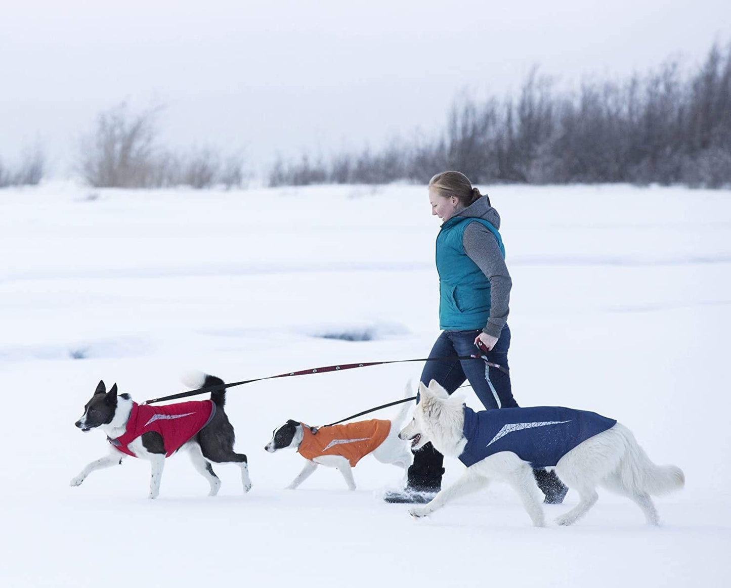 RC Pet Products Cascade Dog Coat, Essential All Weather Dog Jacket, Size 30, Arctic Blue Animals & Pet Supplies > Pet Supplies > Dog Supplies > Dog Apparel RC Pets   