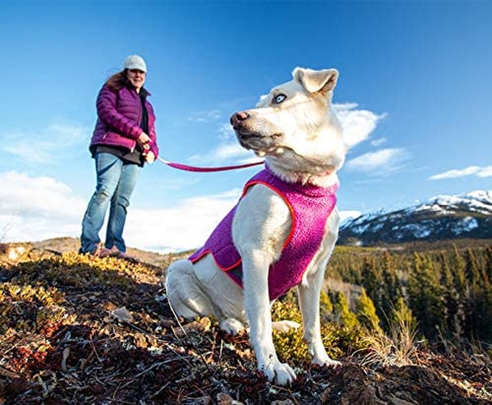 RC Pet Products Tundra Fleece Dog Coat, Cold Weather Dog Jacket, Size 14, Mulberry/Hot Coral Animals & Pet Supplies > Pet Supplies > Dog Supplies > Dog Apparel RC Pets   