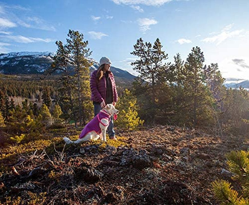 RC Pet Products Tundra Fleece Dog Coat, Cold Weather Dog Jacket, Size 14, Mulberry/Hot Coral Animals & Pet Supplies > Pet Supplies > Dog Supplies > Dog Apparel RC Pets   