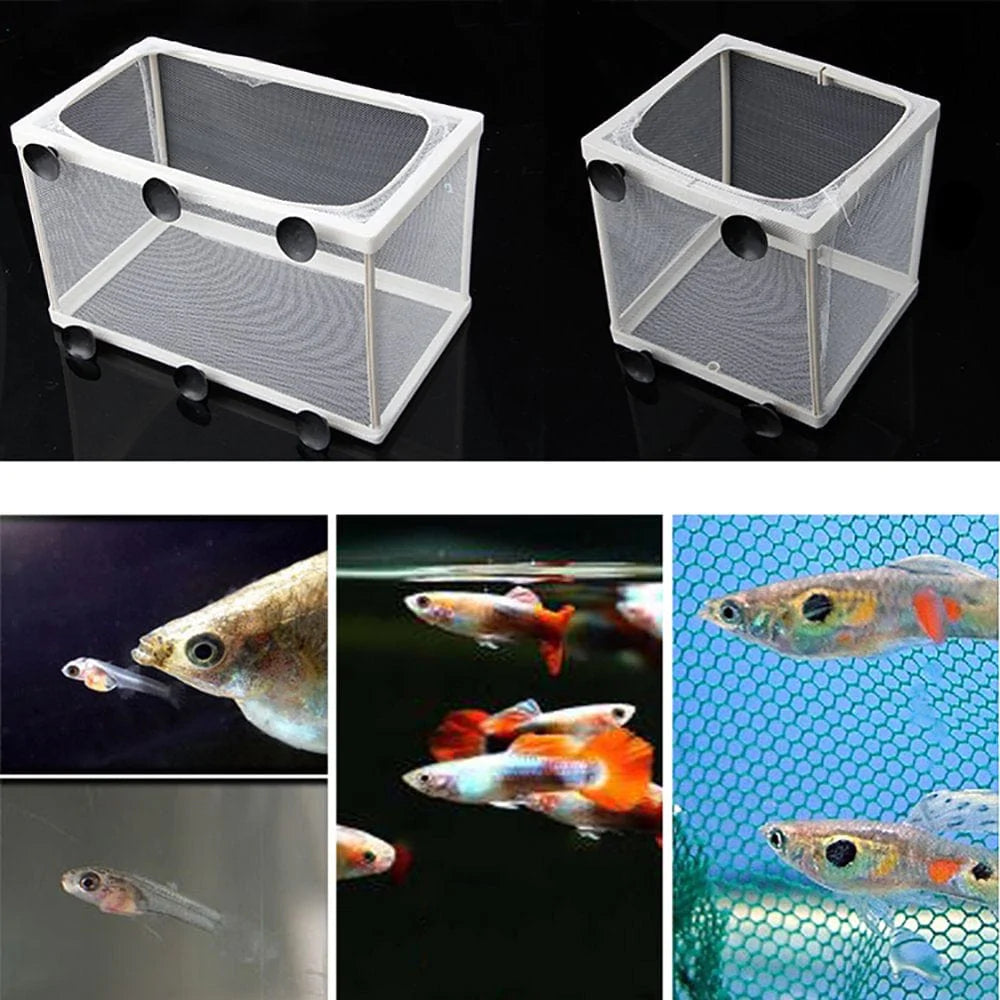 【Ready Stock】 Fish Nursery for Aquarium Fish Fry Breeding Net Hatchery Incubator with Suction Cup Easy to Install Hang on Breeder Box Animals & Pet Supplies > Pet Supplies > Fish Supplies > Aquarium Fish Nets HONON   