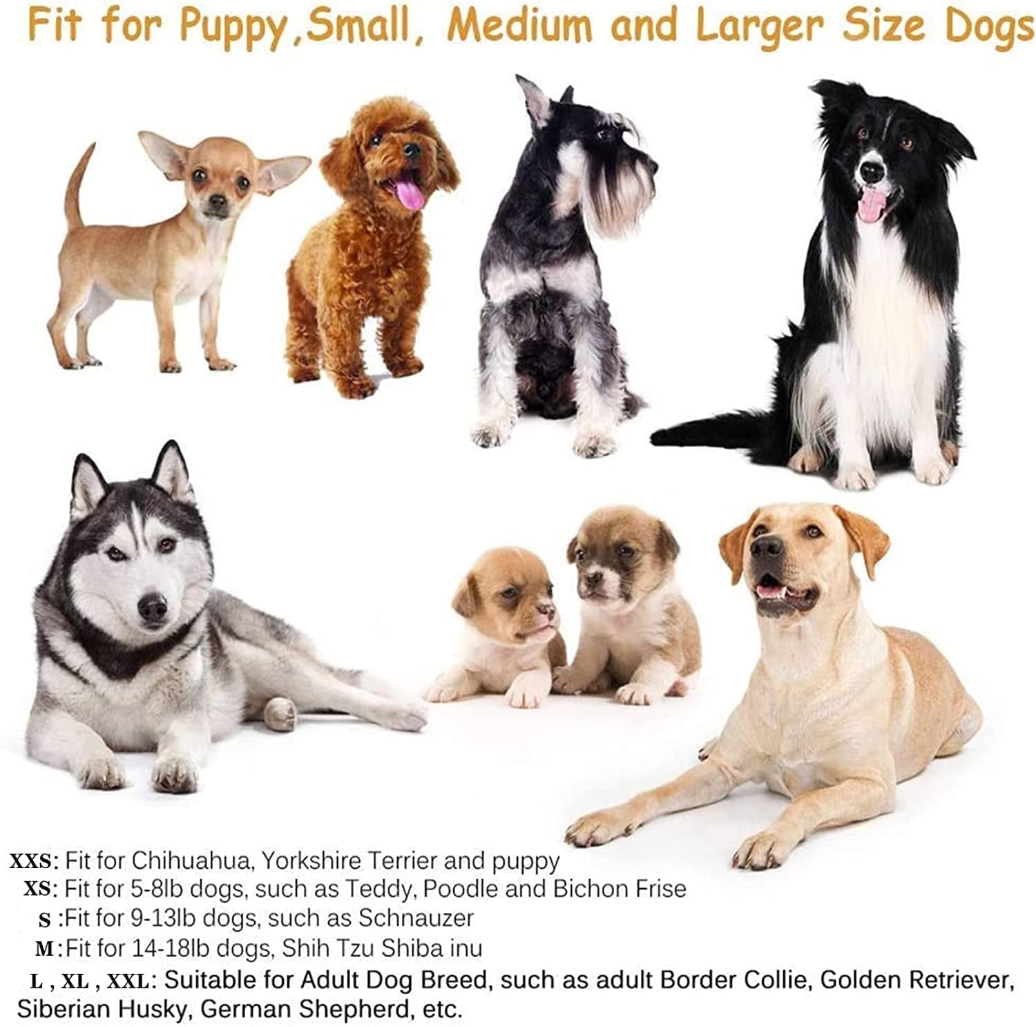 Riccioofy Dog Socks,Dog Shoes Paw Protectors with Straps Traction Control Anti-Slip Waterproof Dog Boots Suitable for Small Medium Large Dogs and Cats 4 Pack Animals & Pet Supplies > Pet Supplies > Dog Supplies > Dog Apparel Riccioofy   