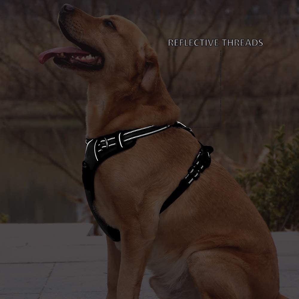 RIDVANVAN Dog Harness No Choke No-Pull Pet Harness Adjustable Soft Padded Vest Reflective Pet Breathable Comfortable Vest for Large Dogs Two Attachment Leash Black Small Animals & Pet Supplies > Pet Supplies > Dog Supplies > Dog Apparel RIDVANVAN   