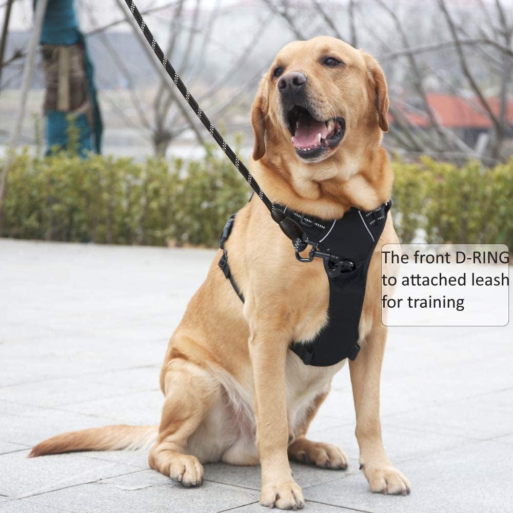 RIDVANVAN Dog Harness No Choke No-Pull Pet Harness Adjustable Soft Padded Vest Reflective Pet Breathable Comfortable Vest for Large Dogs Two Attachment Leash Black Small Animals & Pet Supplies > Pet Supplies > Dog Supplies > Dog Apparel RIDVANVAN   