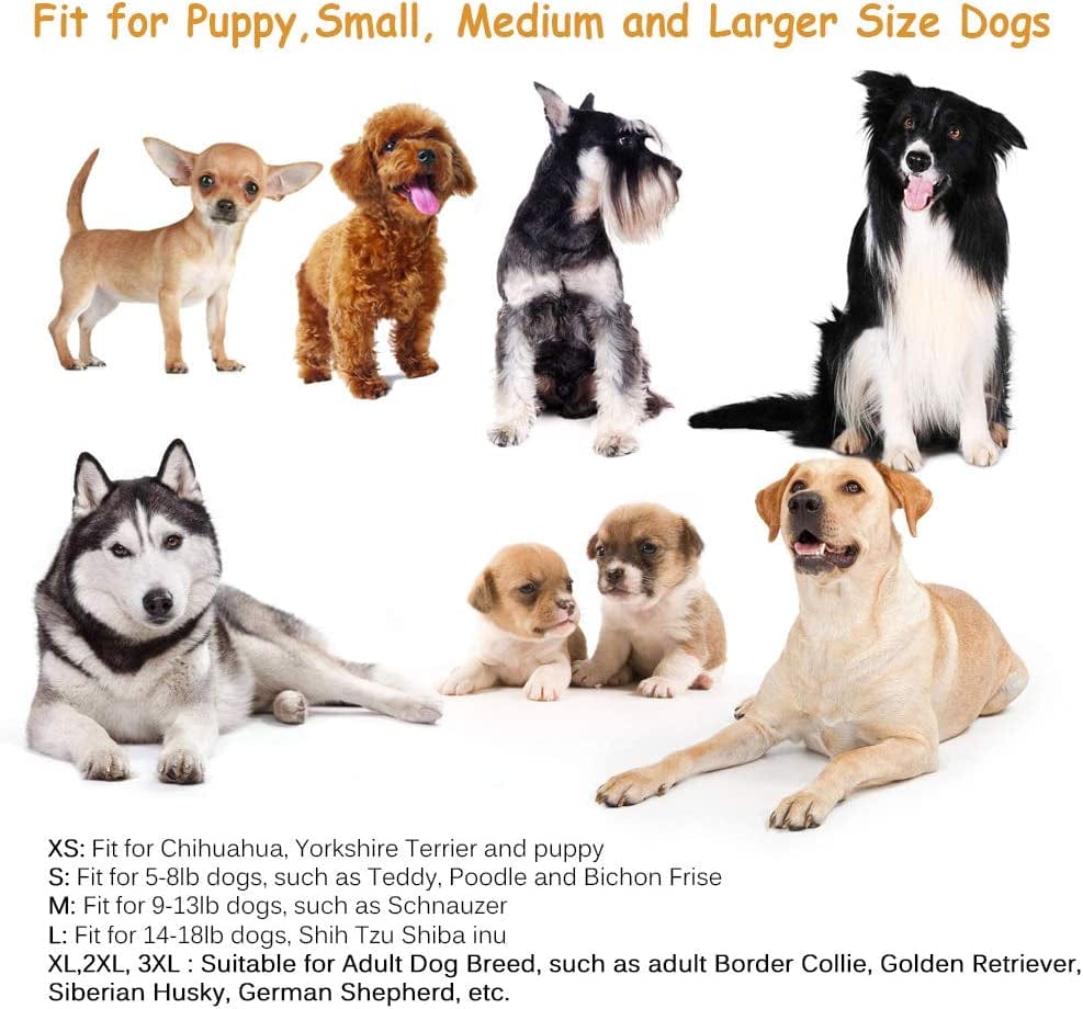 Rilexawhile Dog Shoes Boots Socks for Dogs Cat Socks Pet Socks Waterproof Paw Protectors Socks with Straps Traction Non-Slip Soles Boot Shoes for Small Medium Large Dogs (XXL, Black and Gray) (M) Animals & Pet Supplies > Pet Supplies > Dog Supplies > Dog Apparel RilexAwhile   