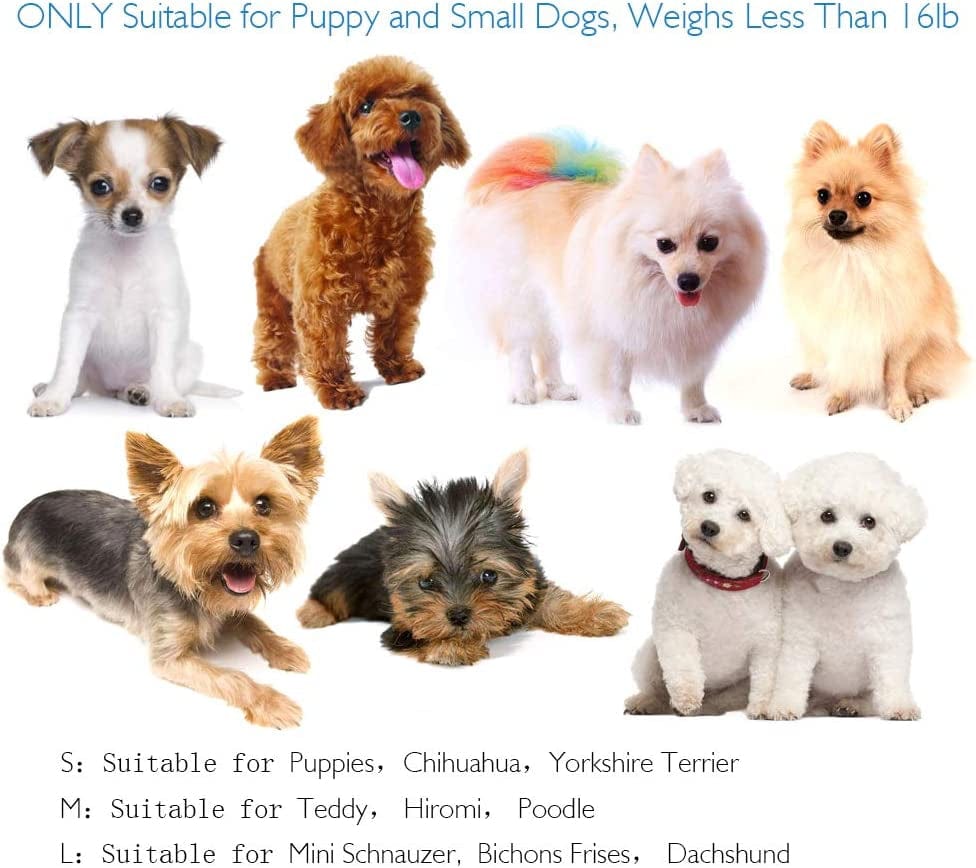 Rilexawhile Dog Socks Boots Shoes for Dogs Cat Socks Non-Slip Soles Adjustable Dog Cat Paw Socks Fit for Indoor Outdoor Use (Large, Black) Animals & Pet Supplies > Pet Supplies > Dog Supplies > Dog Apparel Hellopet   