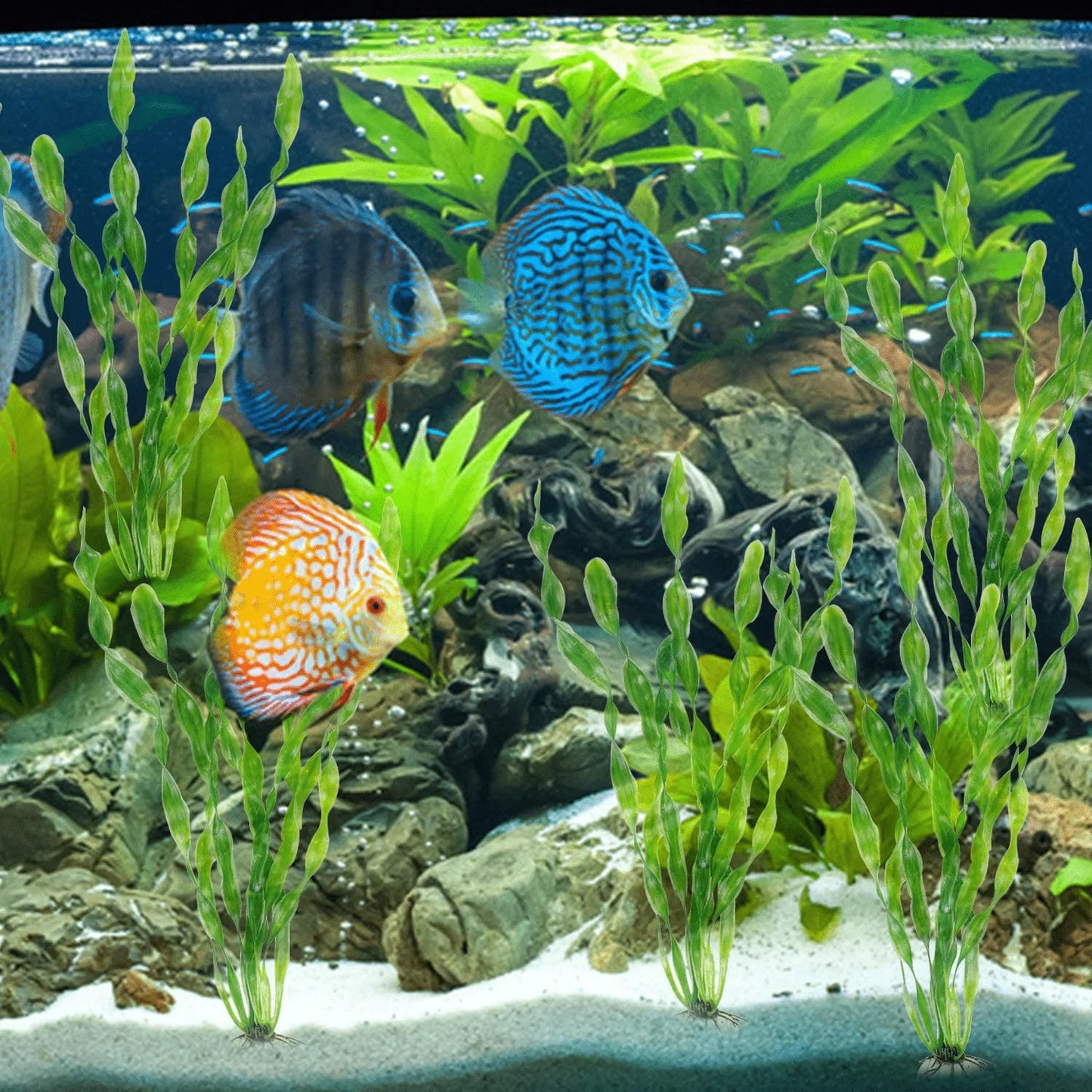 Rocutus Artificial Seaweed Water Plants,15 Pieces Fish Tank Aquarium Decorations,Soft Plastic Life-Like Artificial Seaweed Water Plants for All Fish & Pets Animals & Pet Supplies > Pet Supplies > Fish Supplies > Aquarium Decor Rocutus   