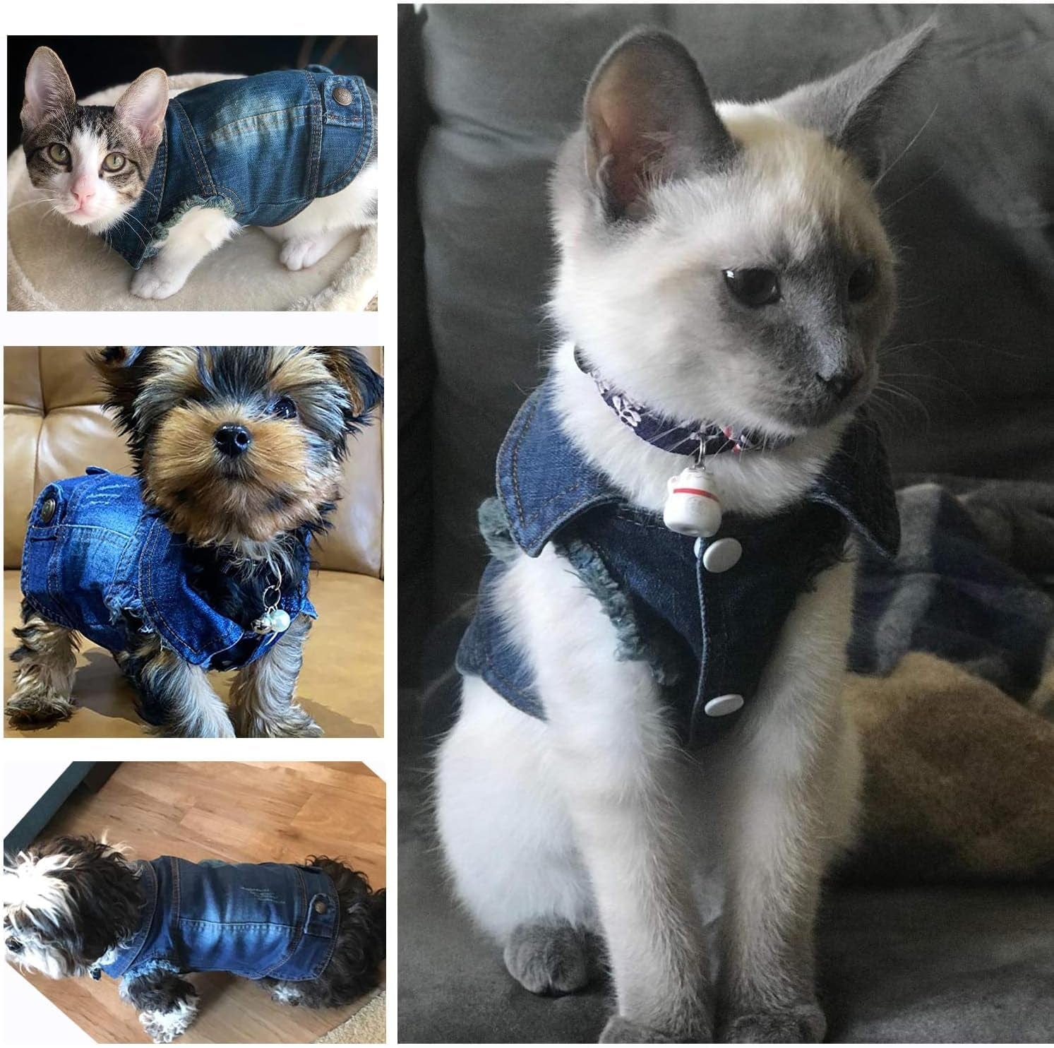 Rooroopet Pet Clothes,Dog Jeans Jacket,Cool Blue Denim Coat,Small Medium Dogs Cats, Lapel Vests Cats Classic Puppy Blue Vintage,Machine Washed Clothes Animals & Pet Supplies > Pet Supplies > Dog Supplies > Dog Apparel Rooroopet   