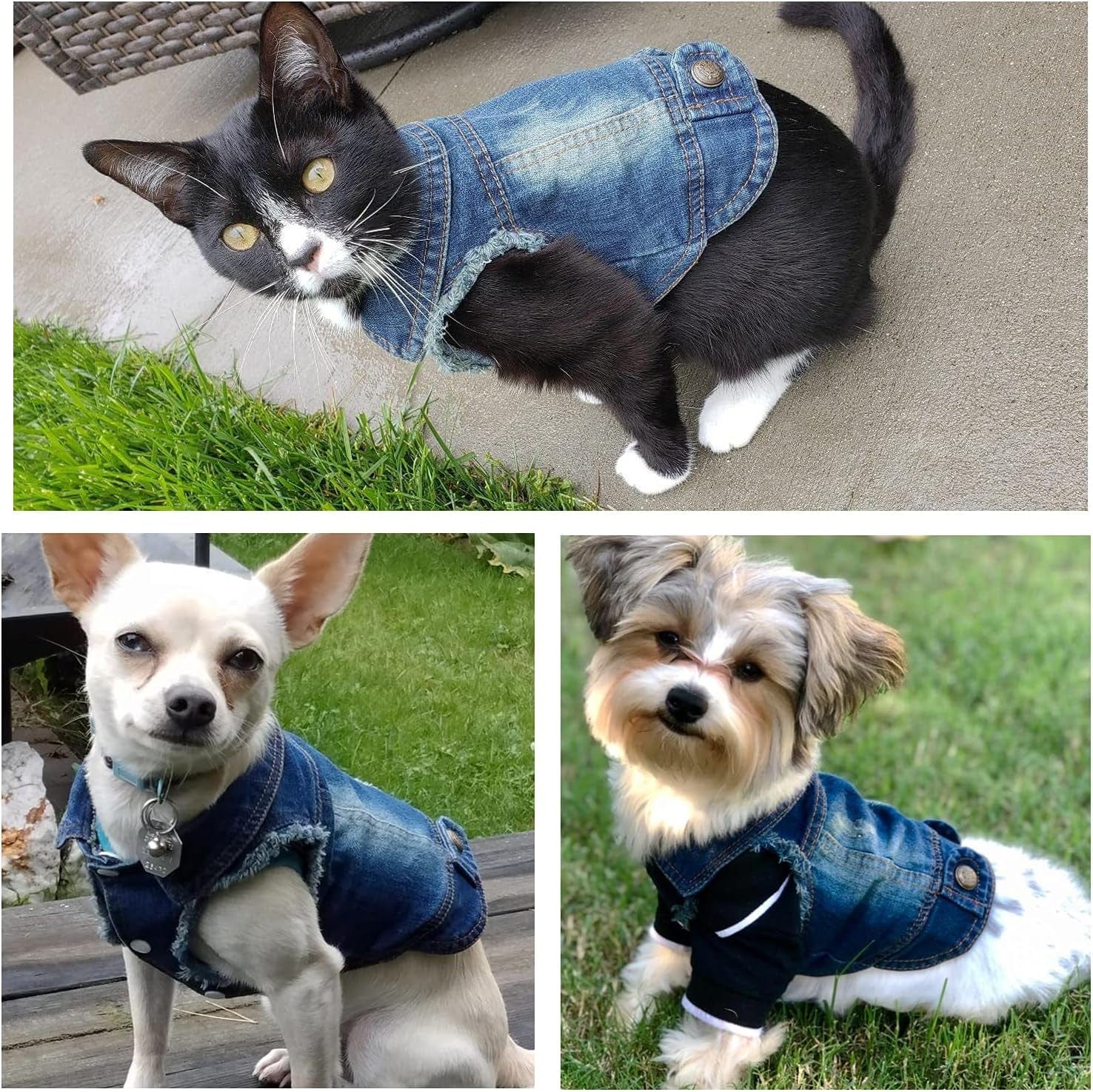 Rooroopet Pet Clothes,Dog Jeans Jacket,Cool Blue Denim Coat,Small Medium Dogs Cats, Lapel Vests Cats Classic Puppy Blue Vintage,Machine Washed Clothes Animals & Pet Supplies > Pet Supplies > Dog Supplies > Dog Apparel Rooroopet   