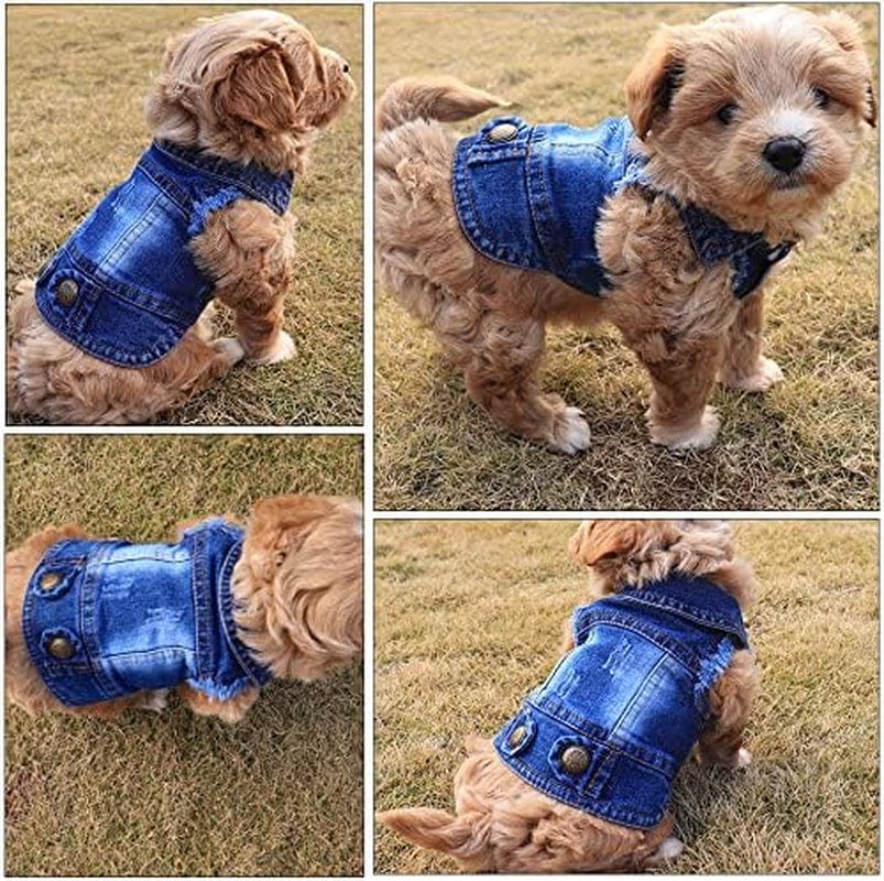 Rooroopet Pet Clothes,Dog Jeans Jacket,Cool Blue Denim Coat,Small Medium Dogs Cats, Lapel Vests Cats Classic Puppy Blue Vintage,Machine Washed Clothes Animals & Pet Supplies > Pet Supplies > Dog Supplies > Dog Apparel Rooroopet   