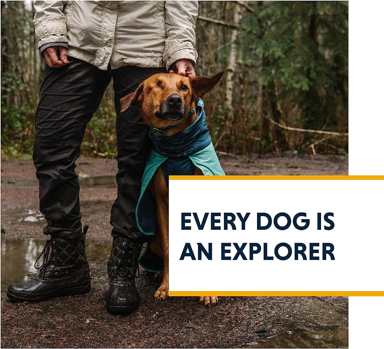 Ruffwear, Dirtbag Dog Towel, Camping and Outdoor Absorbent Coat, Aurora Teal, Medium Animals & Pet Supplies > Pet Supplies > Dog Supplies > Dog Apparel RUFFWEAR   