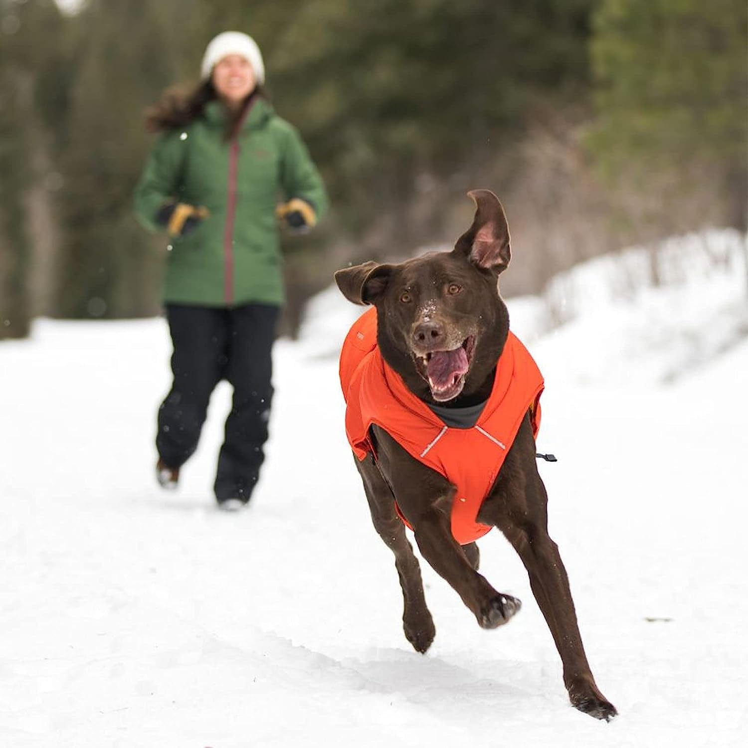 RUFFWEAR, Quinzee Insulated, Water-Resistant Jacket for Dogs with Stuff Sack, Blue Moon, X-Small Animals & Pet Supplies > Pet Supplies > Dog Supplies > Dog Apparel RUFFWEAR   