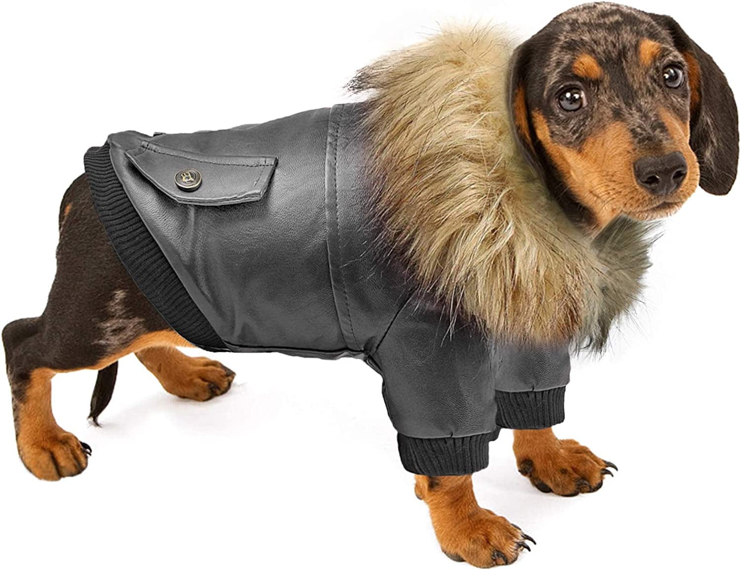 Rypet Dog Leather Jacket Waterproof - Small Dog Winter Coat Puppy Jacket for Winter Weather Black XXL Animals & Pet Supplies > Pet Supplies > Dog Supplies > Dog Apparel Rypet Black XL(Chest Girth:19.5", Neck Girth:15") 