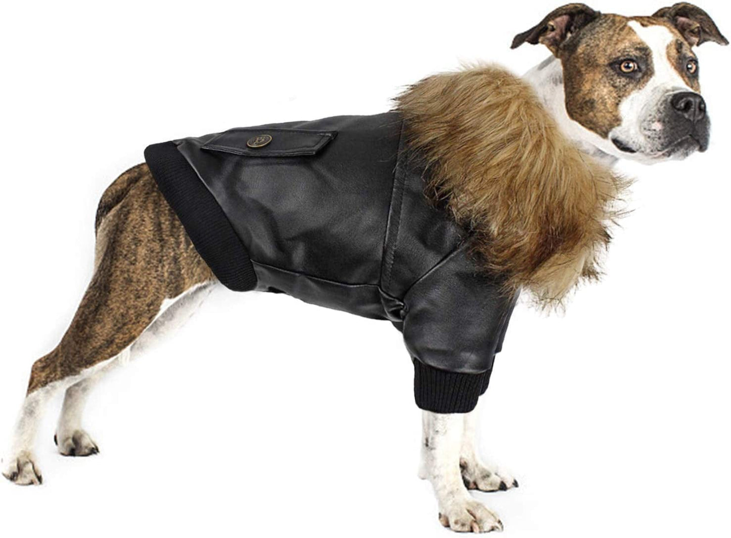 Rypet Dog Leather Jacket Waterproof - Small Dog Winter Coat Puppy Jacket for Winter Weather Black XXL Animals & Pet Supplies > Pet Supplies > Dog Supplies > Dog Apparel Rypet   