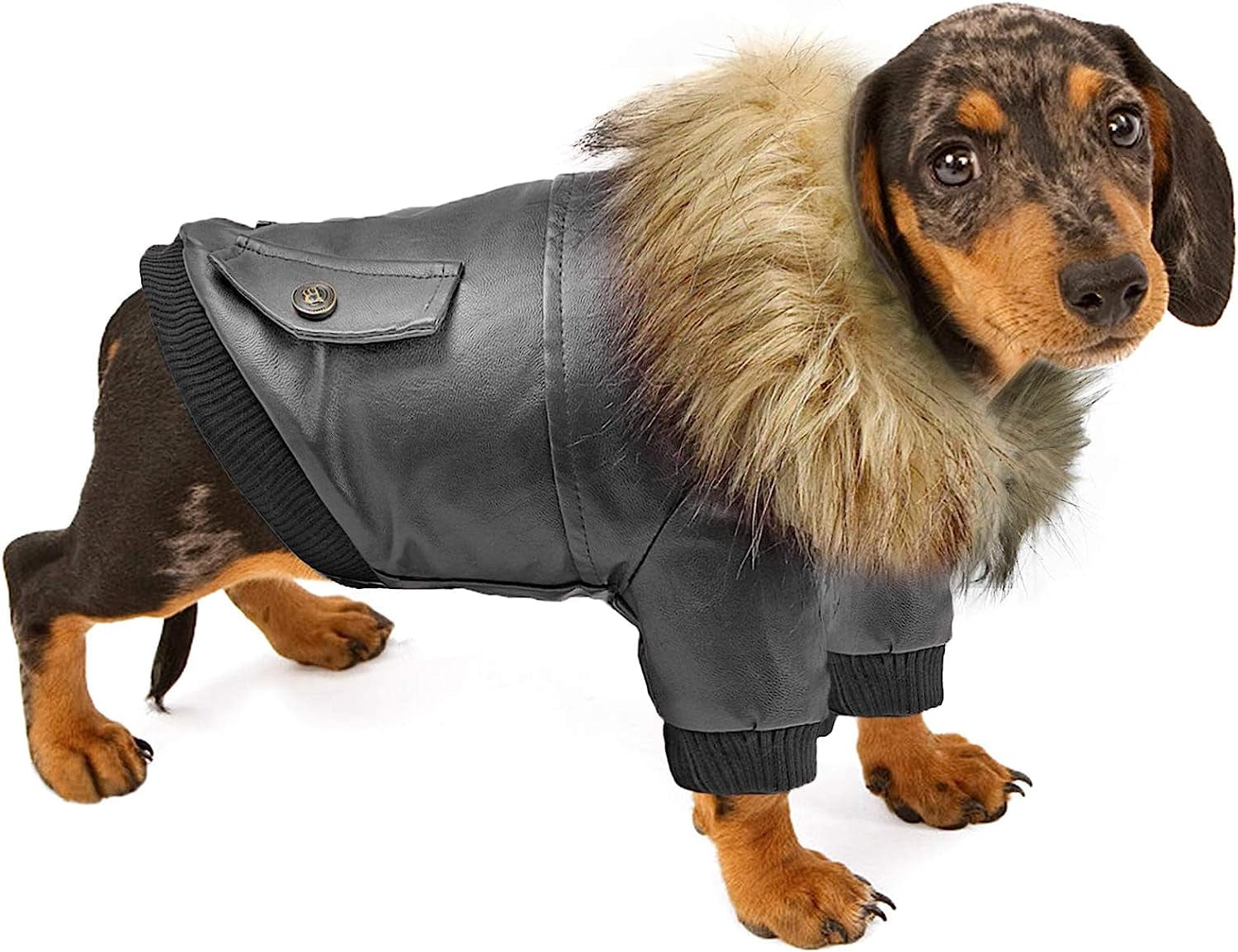 Rypet Dog Leather Jacket Waterproof - Small Dog Winter Coat Puppy Jacket for Winter Weather Black XXL Animals & Pet Supplies > Pet Supplies > Dog Supplies > Dog Apparel Rypet Black XXL(Chest Girth:22.5", Neck Girth:17") 