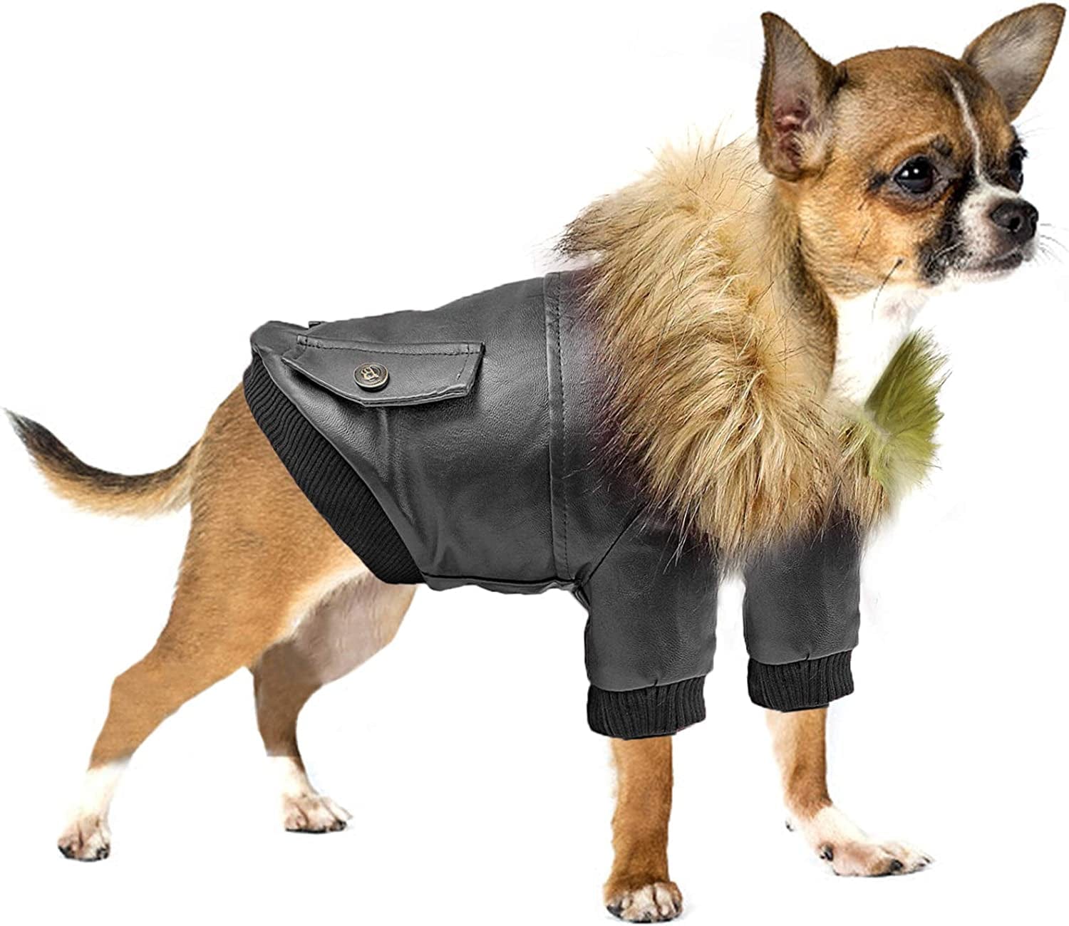 Rypet Dog Leather Jacket Waterproof - Small Dog Winter Coat Puppy Jacket for Winter Weather Black XXL Animals & Pet Supplies > Pet Supplies > Dog Supplies > Dog Apparel Rypet Black M(Chest Girth:16", Neck Girth:12") 