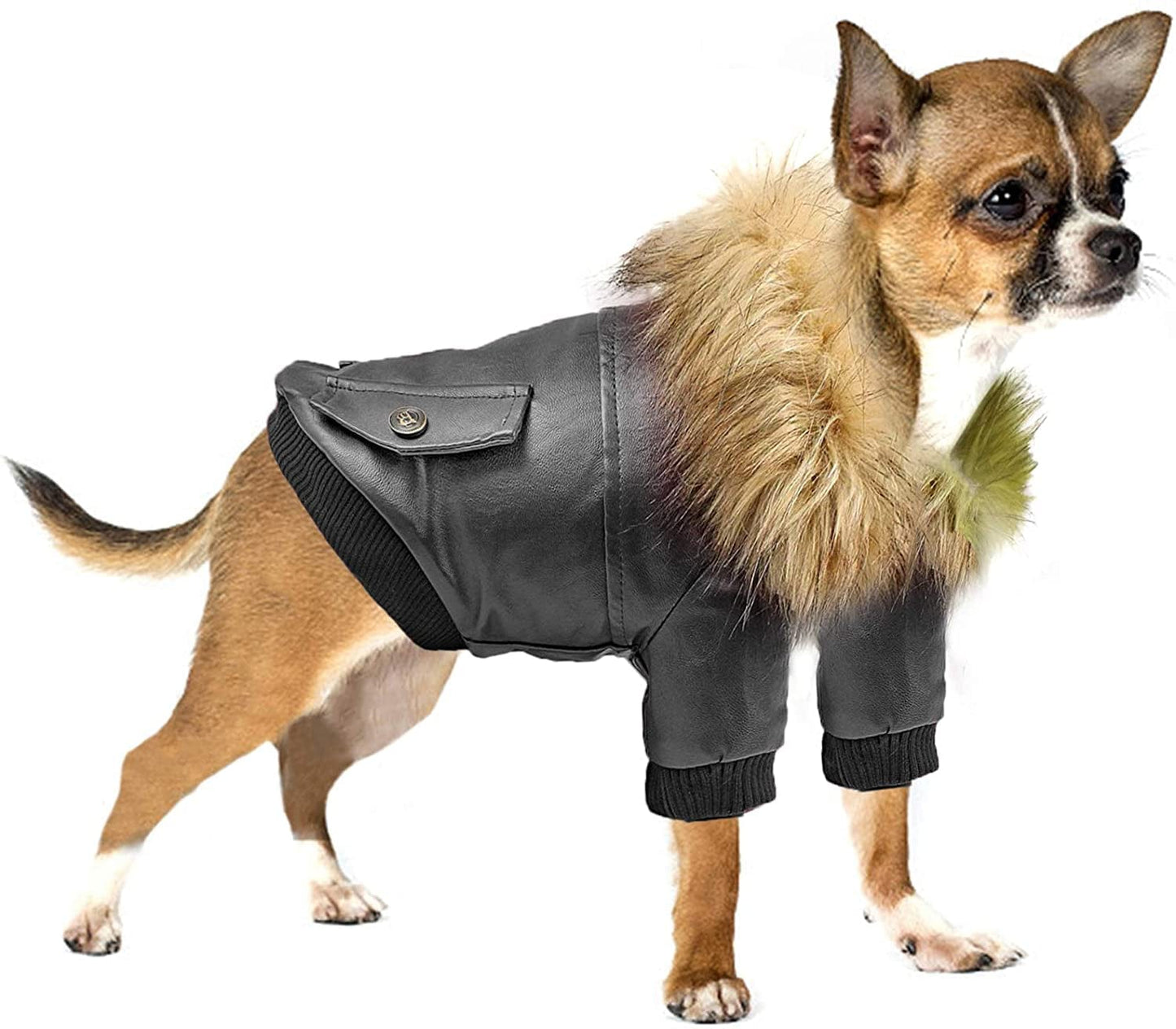 Rypet Dog Leather Jacket Waterproof - Small Dog Winter Coat Puppy Jacket for Winter Weather Black XXL Animals & Pet Supplies > Pet Supplies > Dog Supplies > Dog Apparel Rypet Black S(Chest Girth:14", Neck Girth:11") 