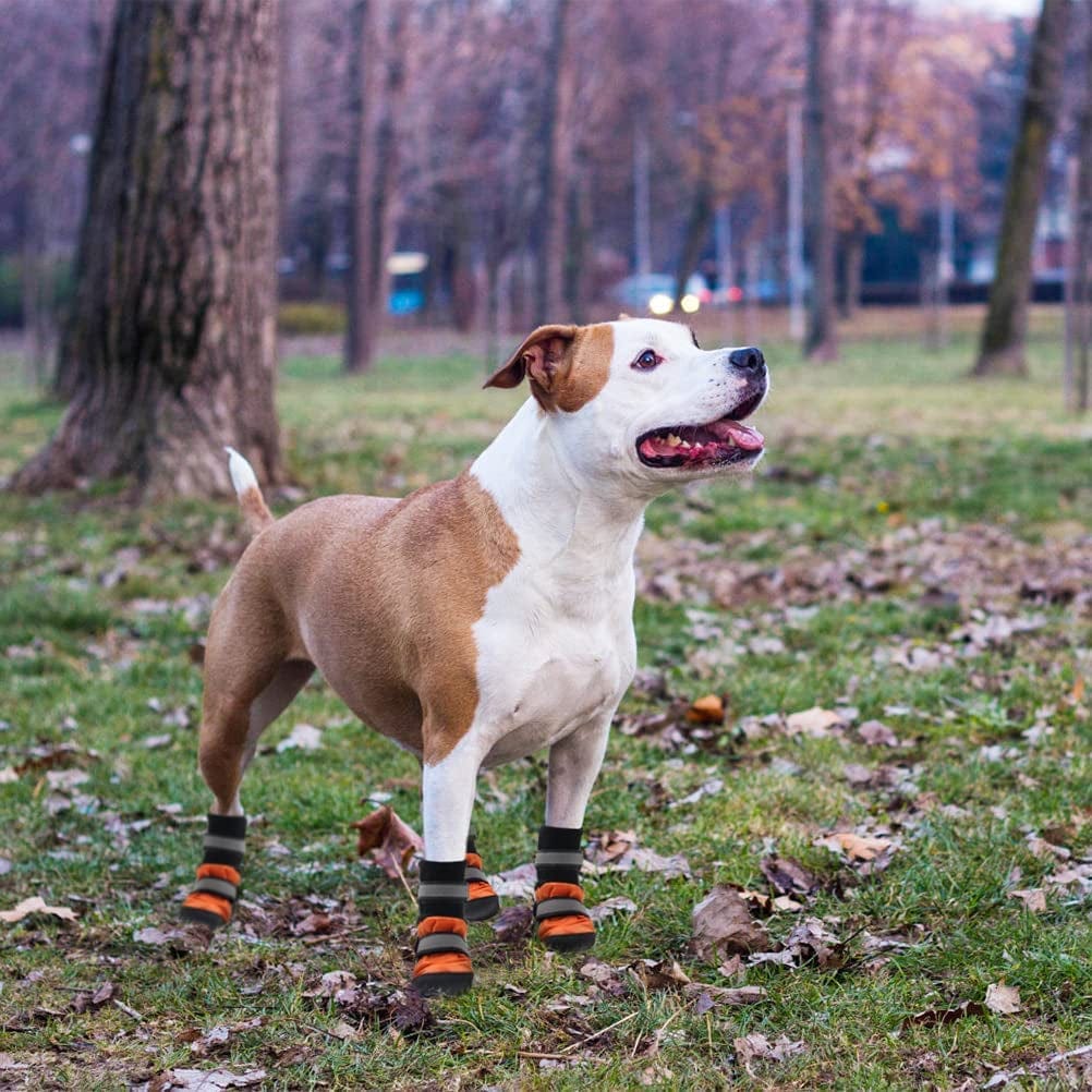 SCENEREAL Dog Boots, Anti-Slip Waterproof Dog Shoes for Hot Pavement Snow Rain with Reflective Strip, Paw Protectors with Traction Control for Hardwood Floors, for Medium Large Dogs in Winter Summer Animals & Pet Supplies > Pet Supplies > Dog Supplies > Dog Apparel SCENEREAL   