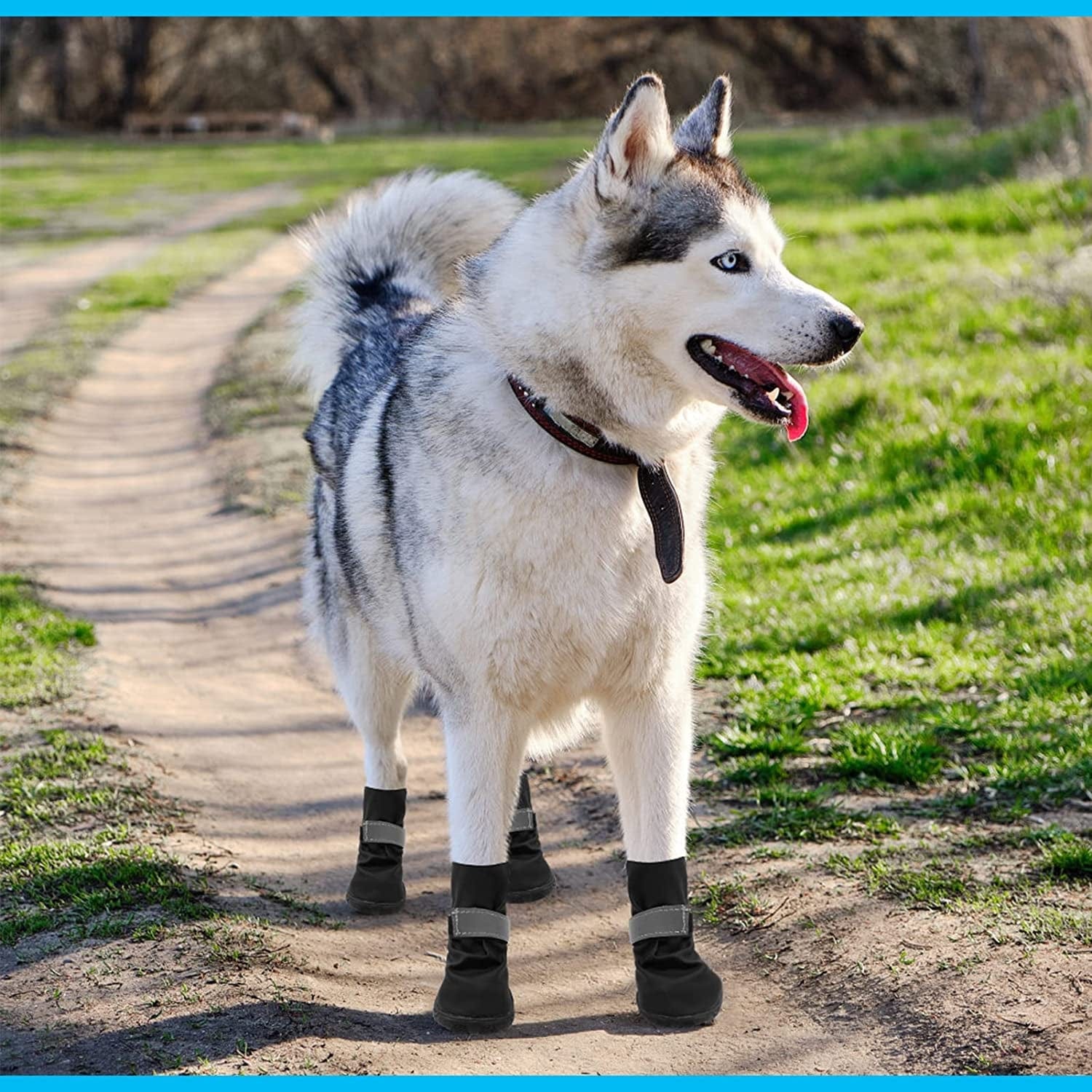 SCENEREAL Waterproof Dog Boots for Hot Pavement Hardwood Floors, Non-Slip Dog Shoes with Reflective Strips, 4 PCS Soft Breathable Paw Protectors for Small Medium Large Dogs Summer Winter Use Animals & Pet Supplies > Pet Supplies > Dog Supplies > Dog Apparel SCENEREAL   