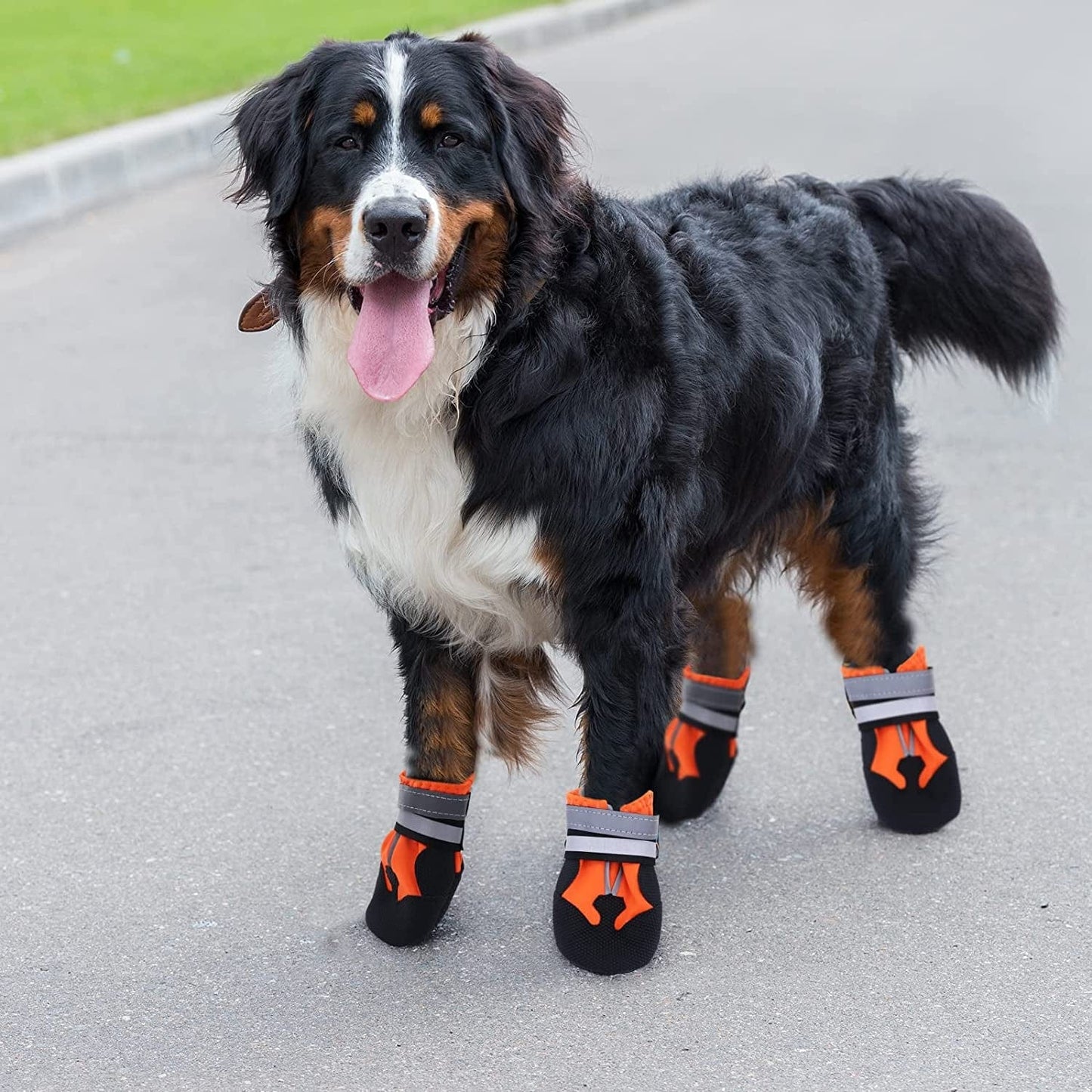 Seahelms Dog Boots Paw Protector - Waterproof Dog Shoes - Durable Outdoor Puppy Booties with Reflective Strips for Small Medium and Large Dogs (Orange, S) Animals & Pet Supplies > Pet Supplies > Dog Supplies > Dog Apparel Seahelms   