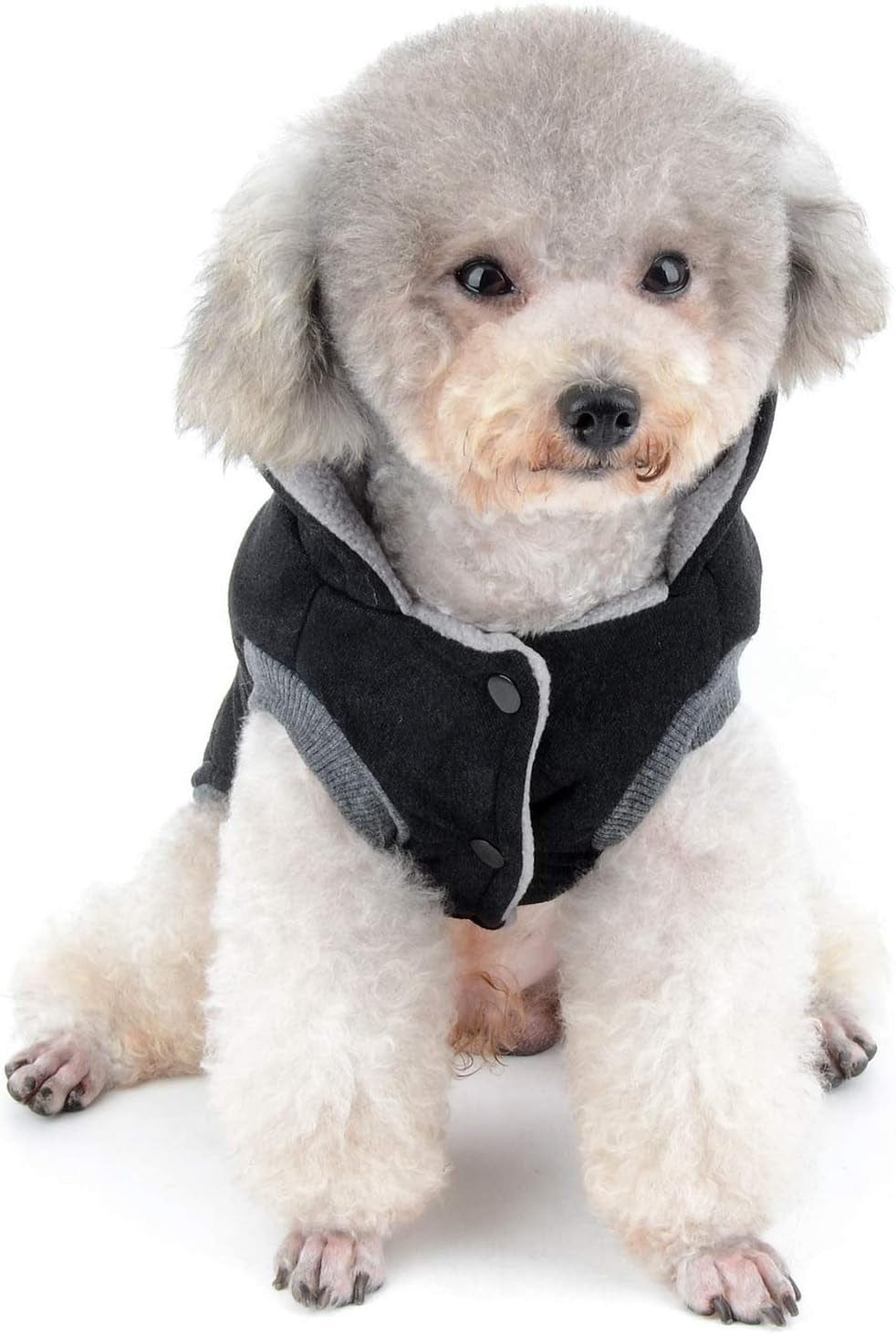 SELMAI Fleece Dog Hoodie Winter Coat for Small Boy Dog Cat Puppy Cotton Hooded Jacket Chihuahua Clothes Girl Boy Yorkie Pet Walking Outdoor Black S Animals & Pet Supplies > Pet Supplies > Dog Supplies > Dog Apparel SELMAI   