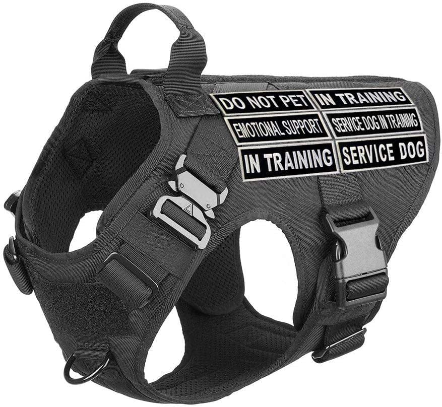 Service Dog in Training Do Not Pet Emotional Support Vest / Harnesses Morale Tactical Patch Embroidered Badge Fastener Hook & Loop Emblem, 1.5 X 4 Inch, 5 Pcs Animals & Pet Supplies > Pet Supplies > Dog Supplies > Dog Apparel TailWag Planet   