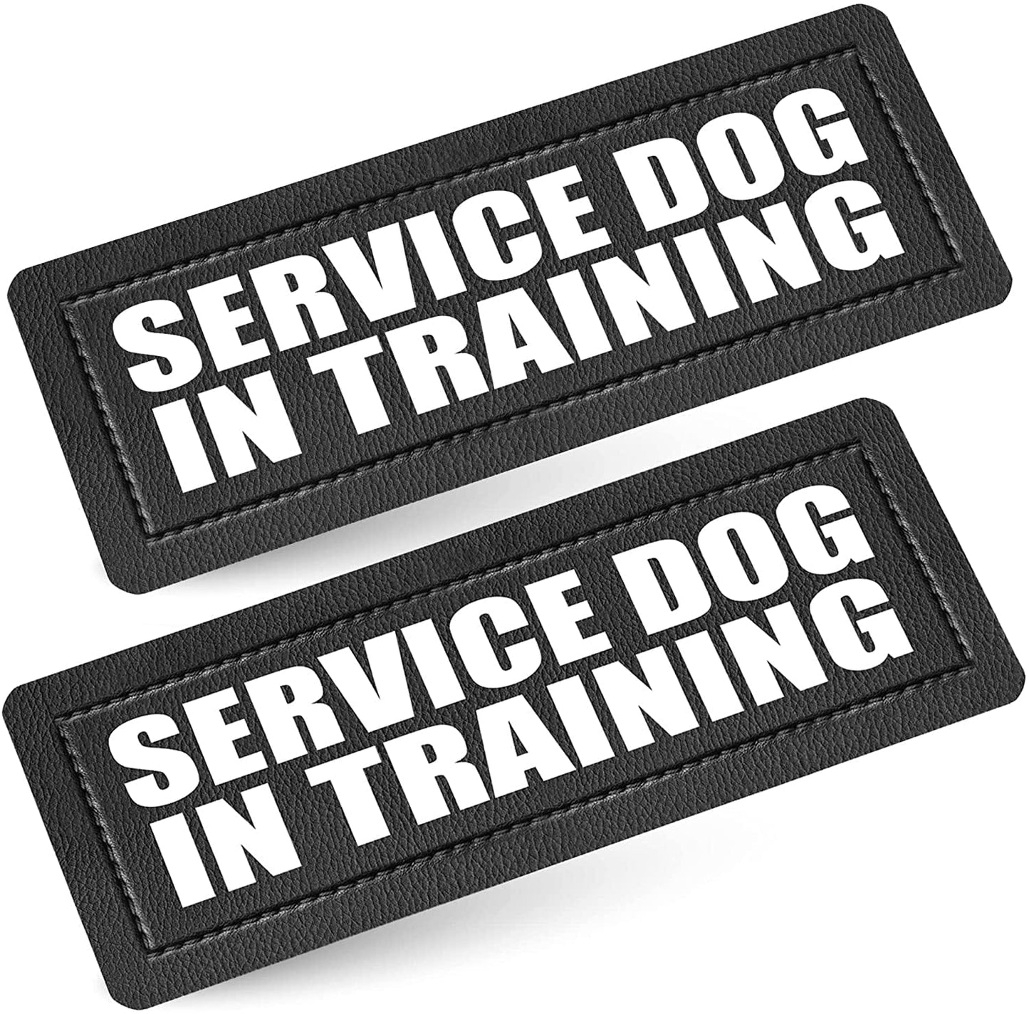 Service Dog in Training Patch with Hook Back and Reflective Lettering for Service Dog in Training Vests (Service Dog in Training, Large - 2" X 6") Animals & Pet Supplies > Pet Supplies > Dog Supplies > Dog Apparel Industrial Puppy SERVICE DOG IN TRAINING XS (1 x 2.75") 