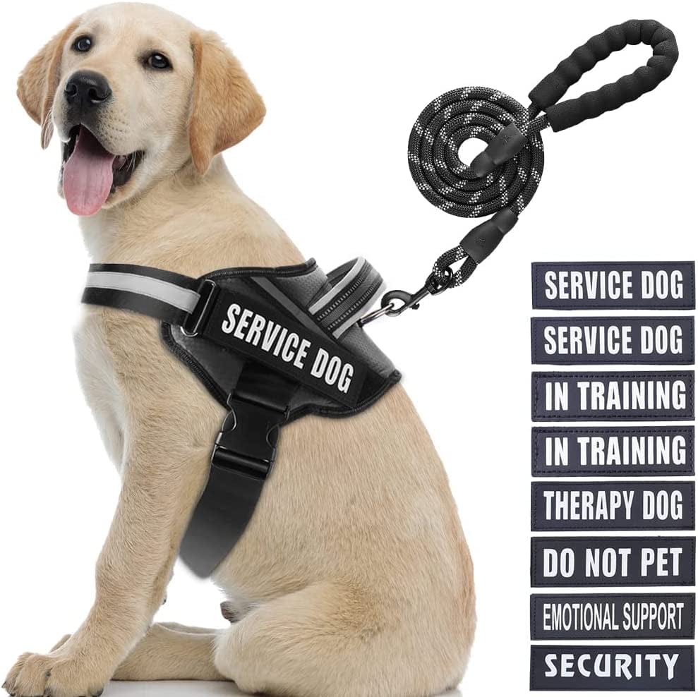 Service Dog Vest Harness and Leash Set, Animire in Training Dog Harness with 8 Dog Patches, Reflective Dog Leash with Soft Padded Handle for Small, Medium, Large, and Extra-Large Dogs Animals & Pet Supplies > Pet Supplies > Dog Supplies > Dog Apparel Animire Black L 