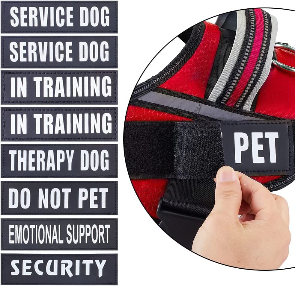 Service Dog Vest Harness and Leash Set, Animire in Training Dog Harness  with 8 Dog Patches, Reflective Dog Leash with Soft Padde