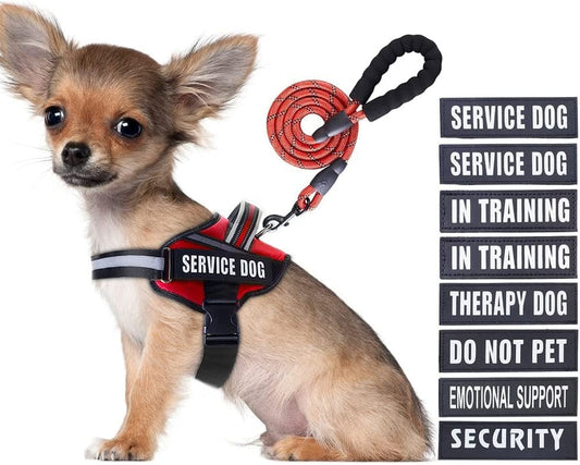 Service Dog Vest Harness and Leash Set, Animire in Training Dog Harness with 8 Dog Patches, Reflective Dog Leash with Soft Padded Handle for Small, Medium, Large, and Extra-Large Dogs Animals & Pet Supplies > Pet Supplies > Dog Supplies > Dog Apparel Animire Red S 