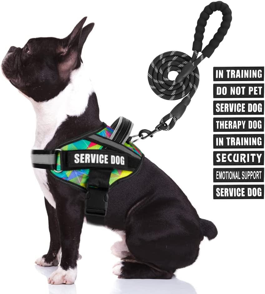 Service Dog Vest Harness and Leash Set, Animire in Training Dog Harness with 8 Dog Patches, Reflective Dog Leash with Soft Padded Handle for Small, Medium, Large, and Extra-Large Dogs Animals & Pet Supplies > Pet Supplies > Dog Supplies > Dog Apparel Animire Multi-Colored Medium 