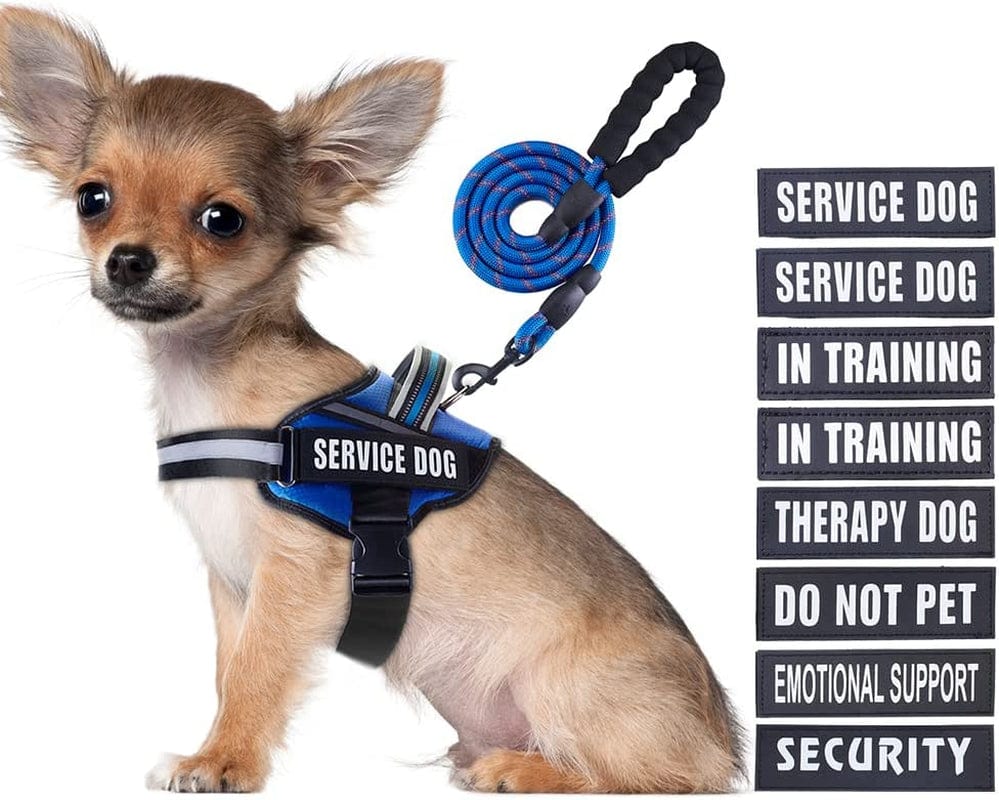 Service Dog Vest Harness and Leash Set, Animire in Training Dog Harness with 8 Dog Patches, Reflective Dog Leash with Soft Padded Handle for Small, Medium, Large, and Extra-Large Dogs Animals & Pet Supplies > Pet Supplies > Dog Supplies > Dog Apparel Animire Blue S 