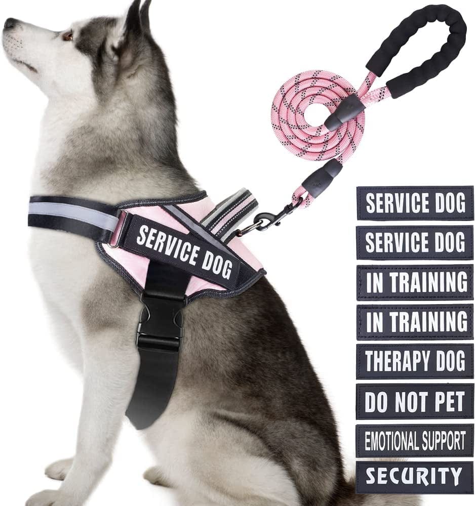 Service Dog Vest Harness and Leash Set, Animire in Training Dog Harness with 8 Dog Patches, Reflective Dog Leash with Soft Padded Handle for Small, Medium, Large, and Extra-Large Dogs Animals & Pet Supplies > Pet Supplies > Dog Supplies > Dog Apparel Animire Pink XL 