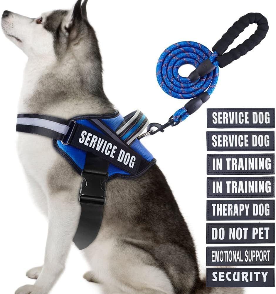 Service Dog Vest Harness and Leash Set, Animire in Training Dog Harness with 8 Dog Patches, Reflective Dog Leash with Soft Padded Handle for Small, Medium, Large, and Extra-Large Dogs Animals & Pet Supplies > Pet Supplies > Dog Supplies > Dog Apparel Animire Blue XL 