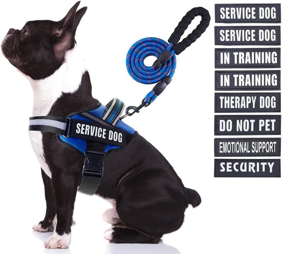 Service Dog Vest Harness and Leash Set, Animire in Training Dog Harness with 8 Dog Patches, Reflective Dog Leash with Soft Padded Handle for Small, Medium, Large, and Extra-Large Dogs Animals & Pet Supplies > Pet Supplies > Dog Supplies > Dog Apparel Animire Blue Medium 