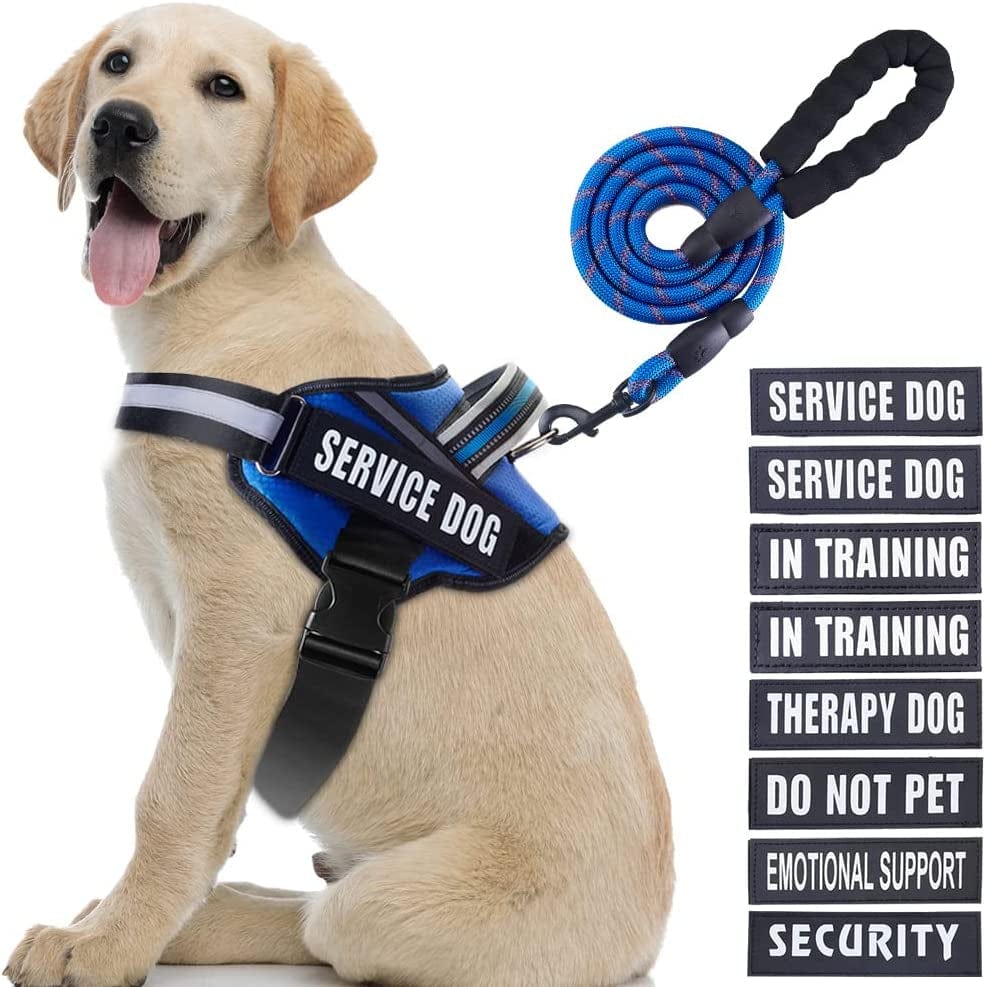 Service Dog Vest Harness and Leash Set, Animire in Training Dog Harness with 8 Dog Patches, Reflective Dog Leash with Soft Padded Handle for Small, Medium, Large, and Extra-Large Dogs Animals & Pet Supplies > Pet Supplies > Dog Supplies > Dog Apparel Animire Blue L 