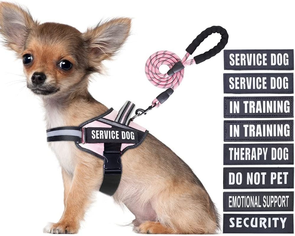 Service Dog Vest Harness and Leash Set, Animire in Training Dog Harness with 8 Dog Patches, Reflective Dog Leash with Soft Padded Handle for Small, Medium, Large, and Extra-Large Dogs Animals & Pet Supplies > Pet Supplies > Dog Supplies > Dog Apparel Animire Pink S 