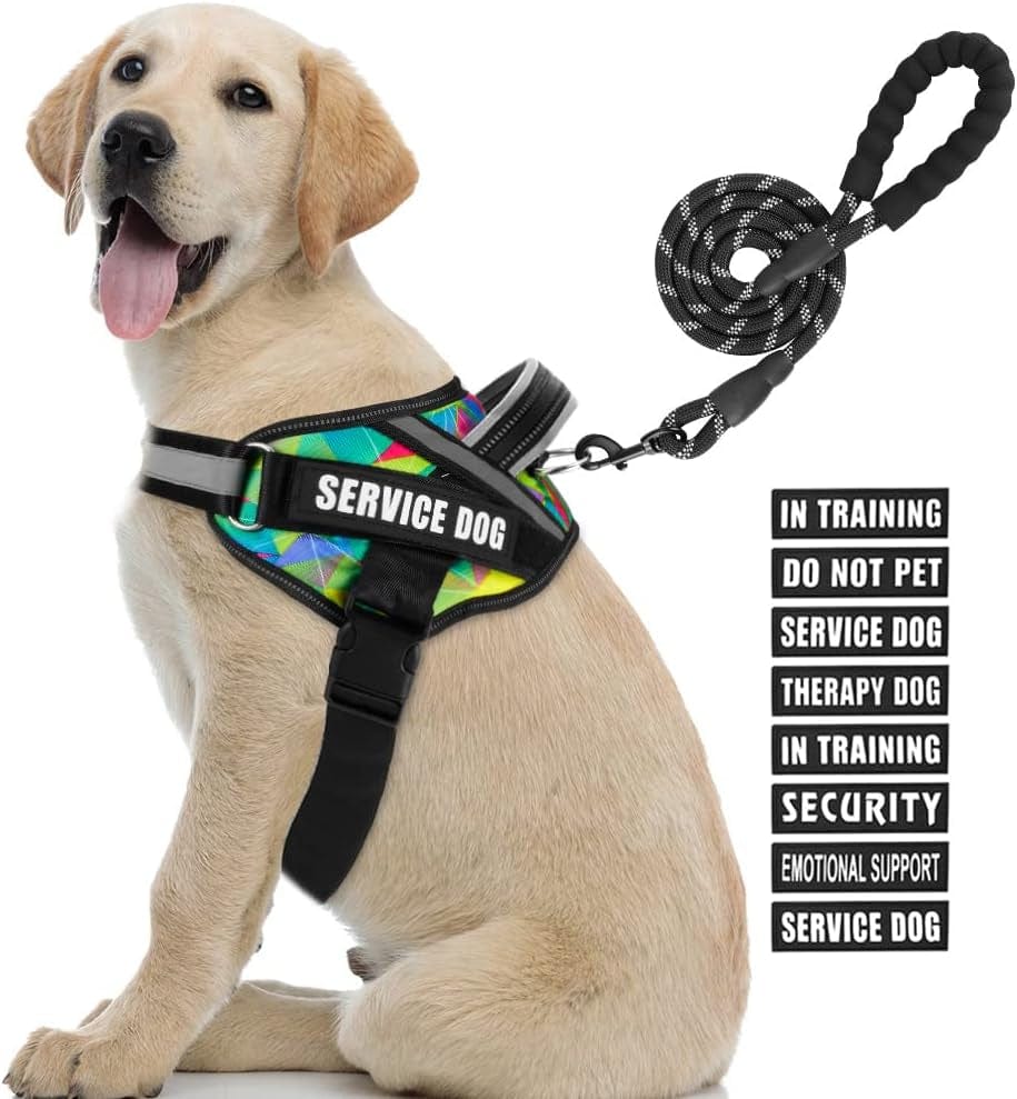 Service Dog Vest Harness and Leash Set, Animire in Training Dog Harness with 8 Dog Patches, Reflective Dog Leash with Soft Padded Handle for Small, Medium, Large, and Extra-Large Dogs Animals & Pet Supplies > Pet Supplies > Dog Supplies > Dog Apparel Animire Multi-Colored L 