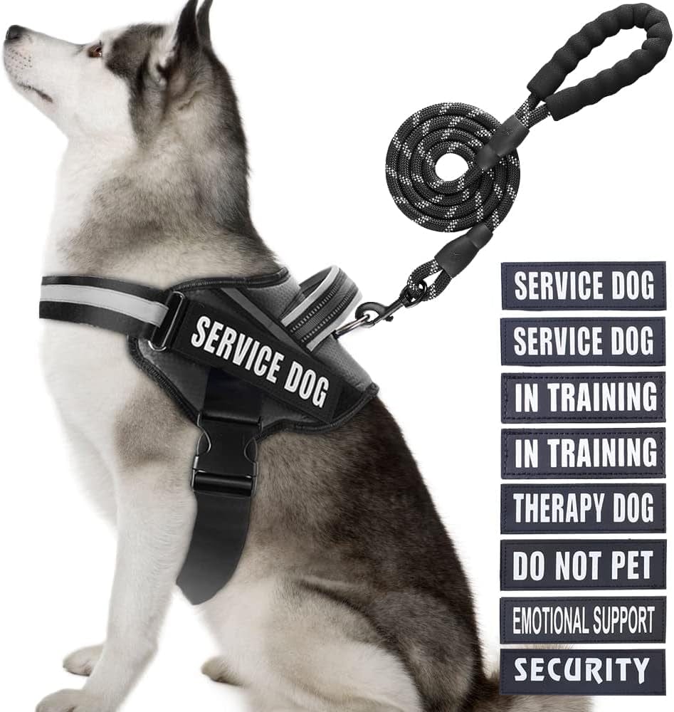 Service Dog Vest Harness and Leash Set, Animire in Training Dog Harness with 8 Dog Patches, Reflective Dog Leash with Soft Padded Handle for Small, Medium, Large, and Extra-Large Dogs Animals & Pet Supplies > Pet Supplies > Dog Supplies > Dog Apparel Animire Black XL 