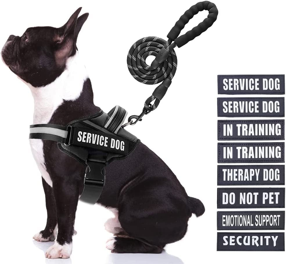 Service Dog Vest Harness and Leash Set, Animire in Training Dog Harness with 8 Dog Patches, Reflective Dog Leash with Soft Padded Handle for Small, Medium, Large, and Extra-Large Dogs Animals & Pet Supplies > Pet Supplies > Dog Supplies > Dog Apparel Animire Black Medium 