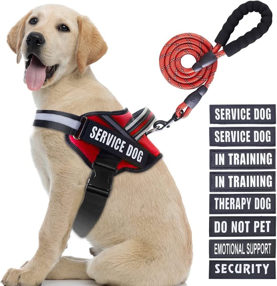 Service Dog Vest Harness and Leash Set, Animire in Training Dog Harness with 8 Dog Patches, Reflective Dog Leash with Soft Padded Handle for Small, Medium, Large, and Extra-Large Dogs Animals & Pet Supplies > Pet Supplies > Dog Supplies > Dog Apparel Animire Red L 